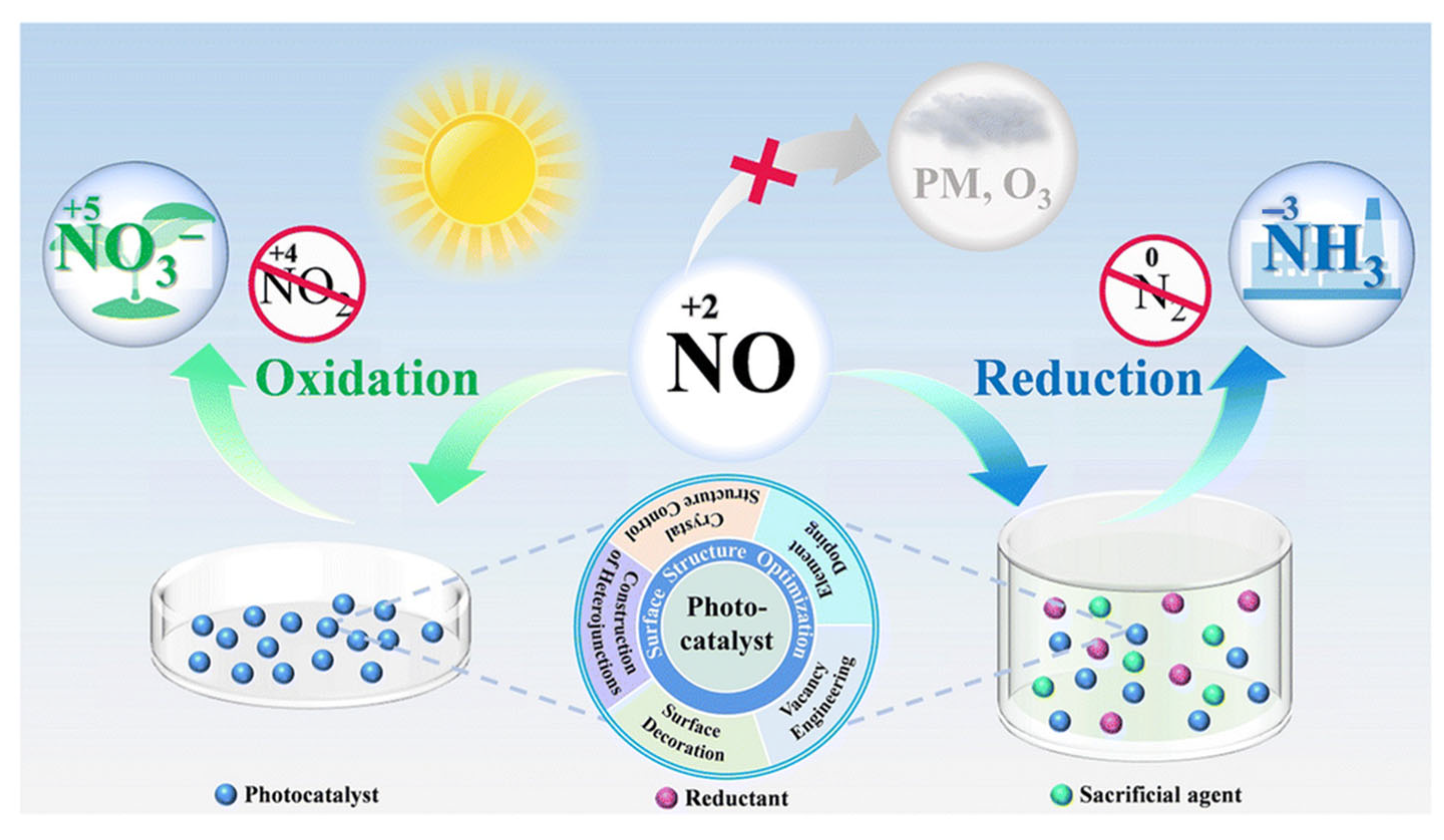 Catalysts 15 01043 g001