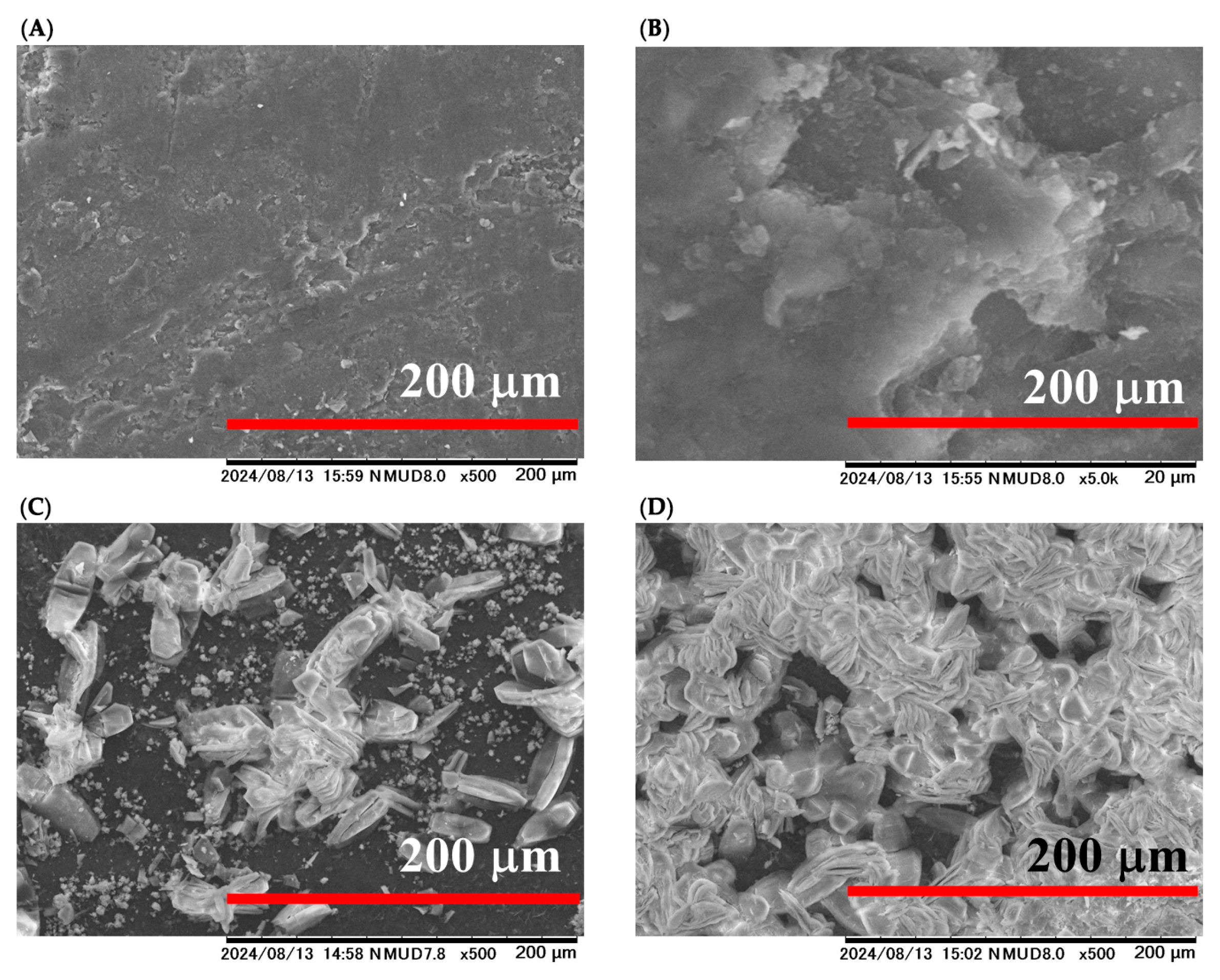 Catalysts 15 01046 g002 Catalysts 15 01046 g002