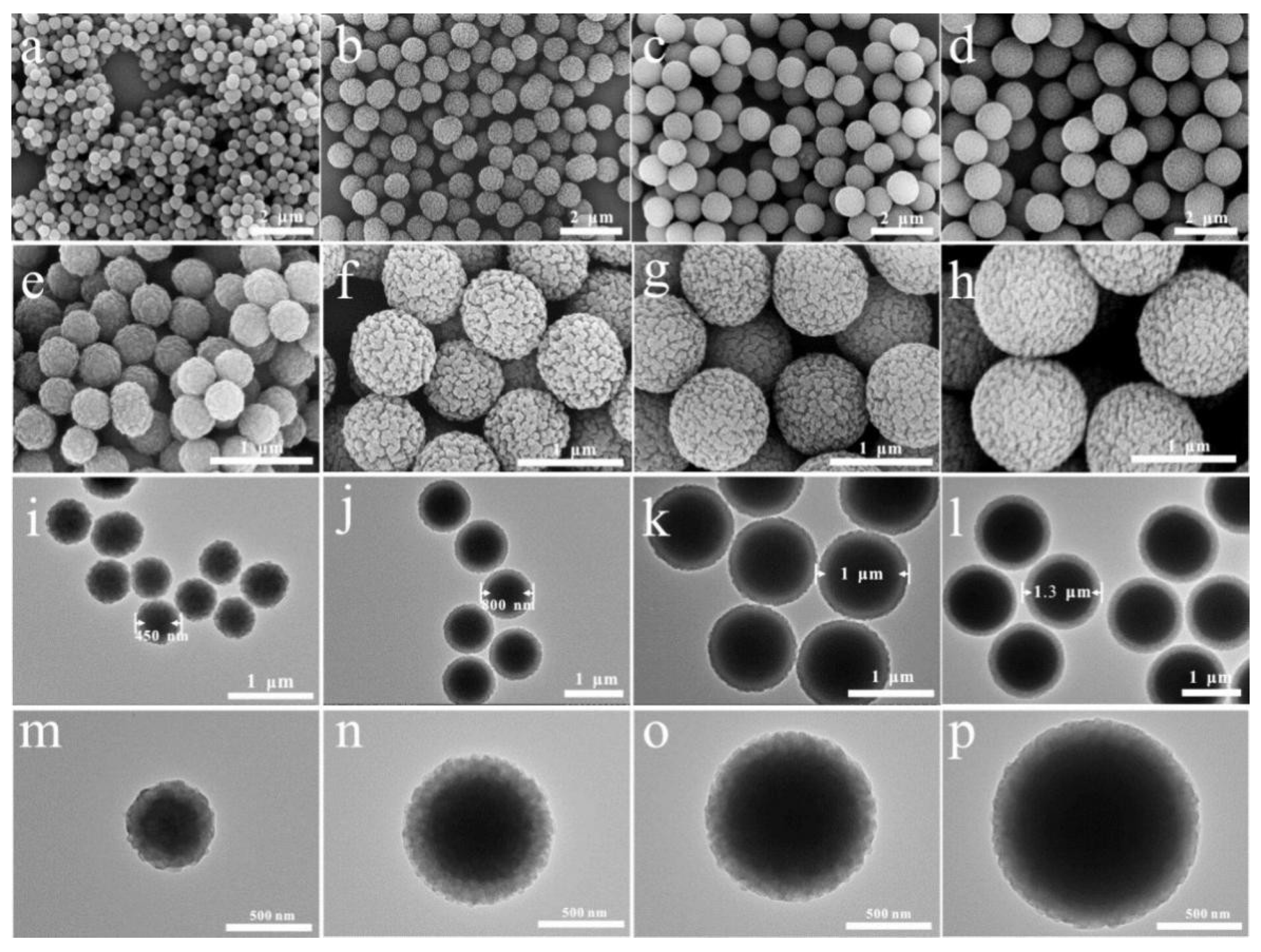 Catalysts 15 01047 g012 Catalysts 15 01047 g012