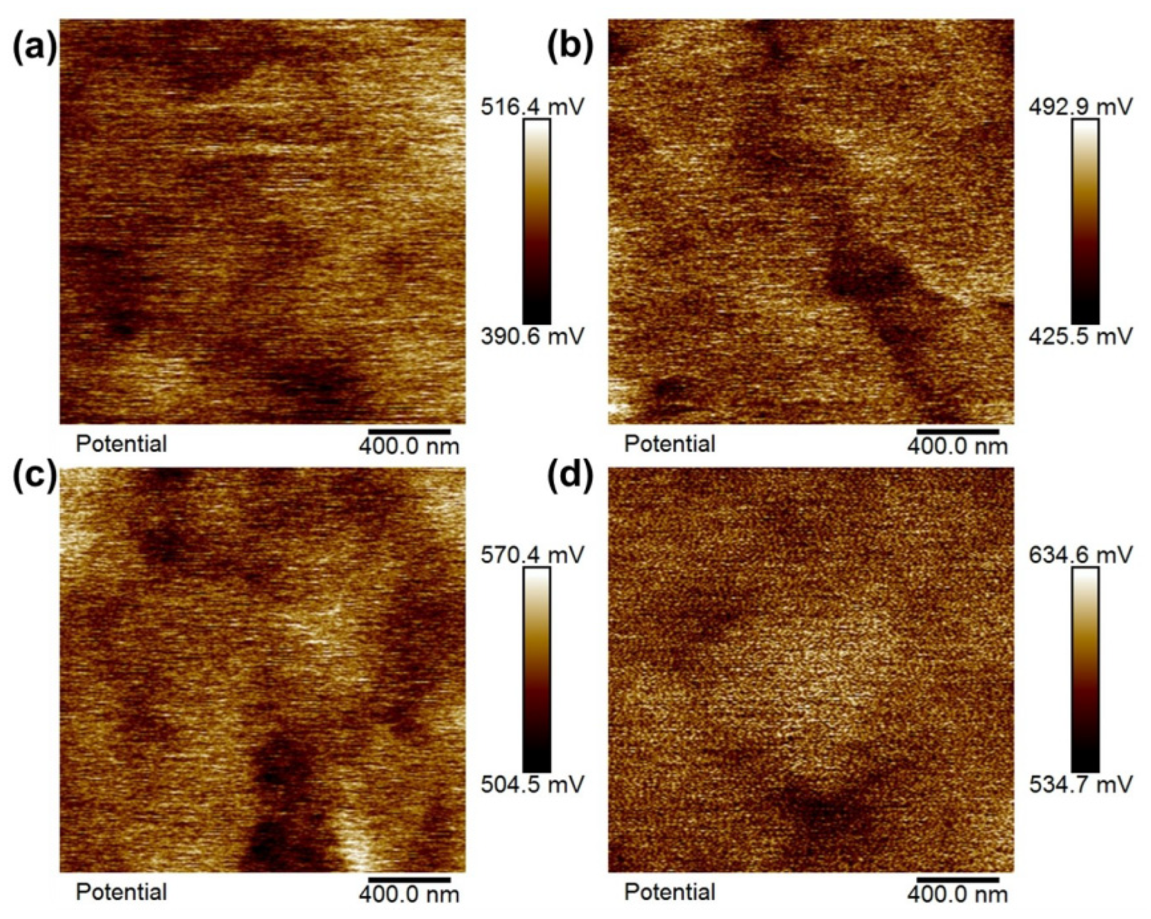 Catalysts 15 01047 g017 Catalysts 15 01047 g017