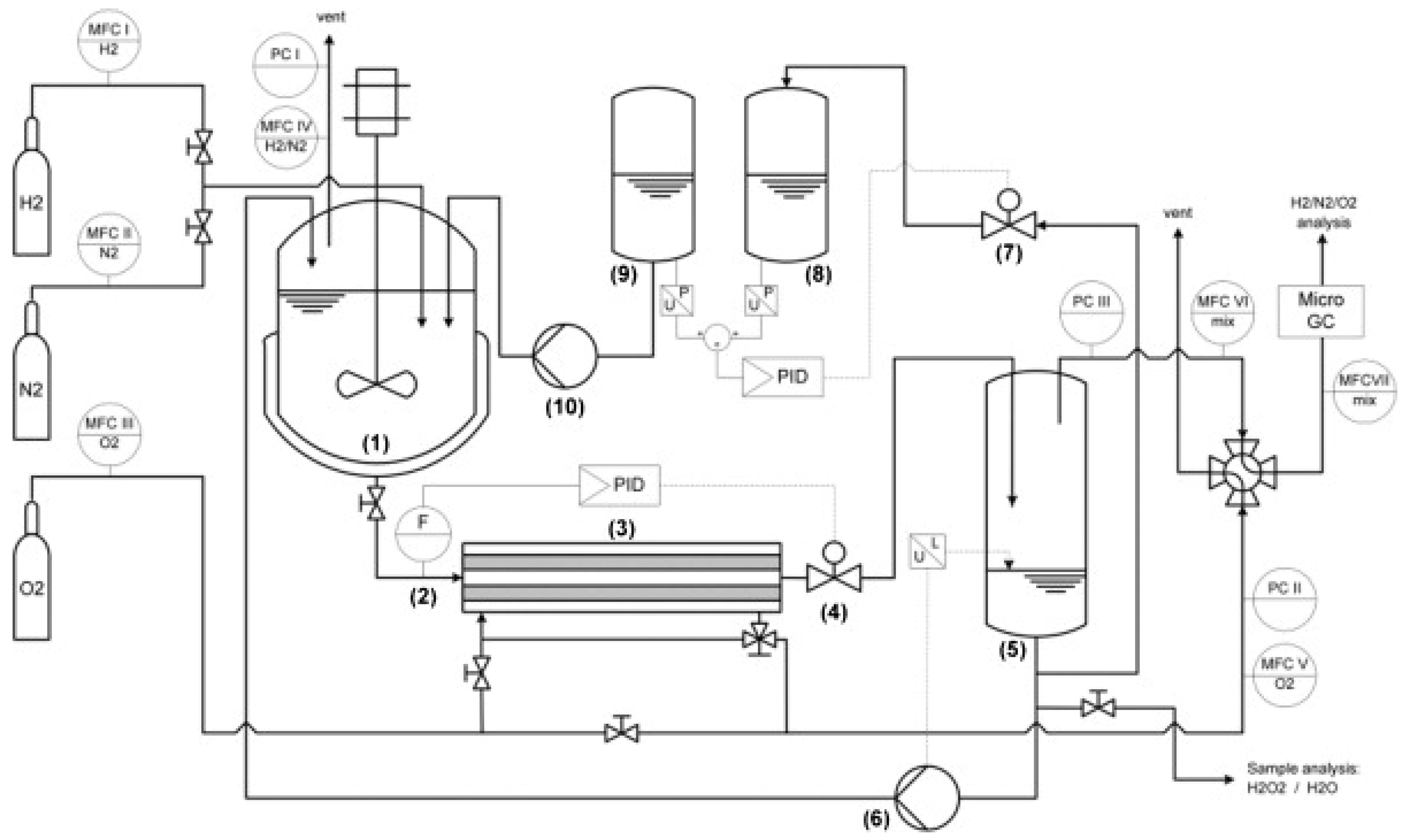 Catalysts 15 01047 g019