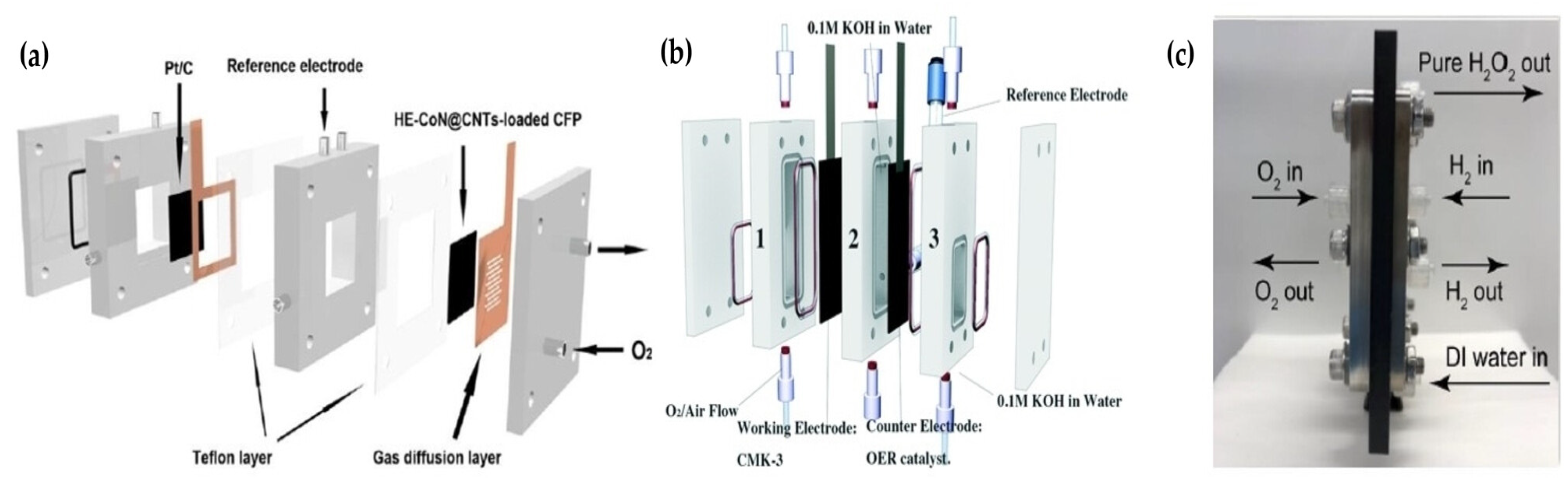 Catalysts 15 01047 g027 Catalysts 15 01047 g027