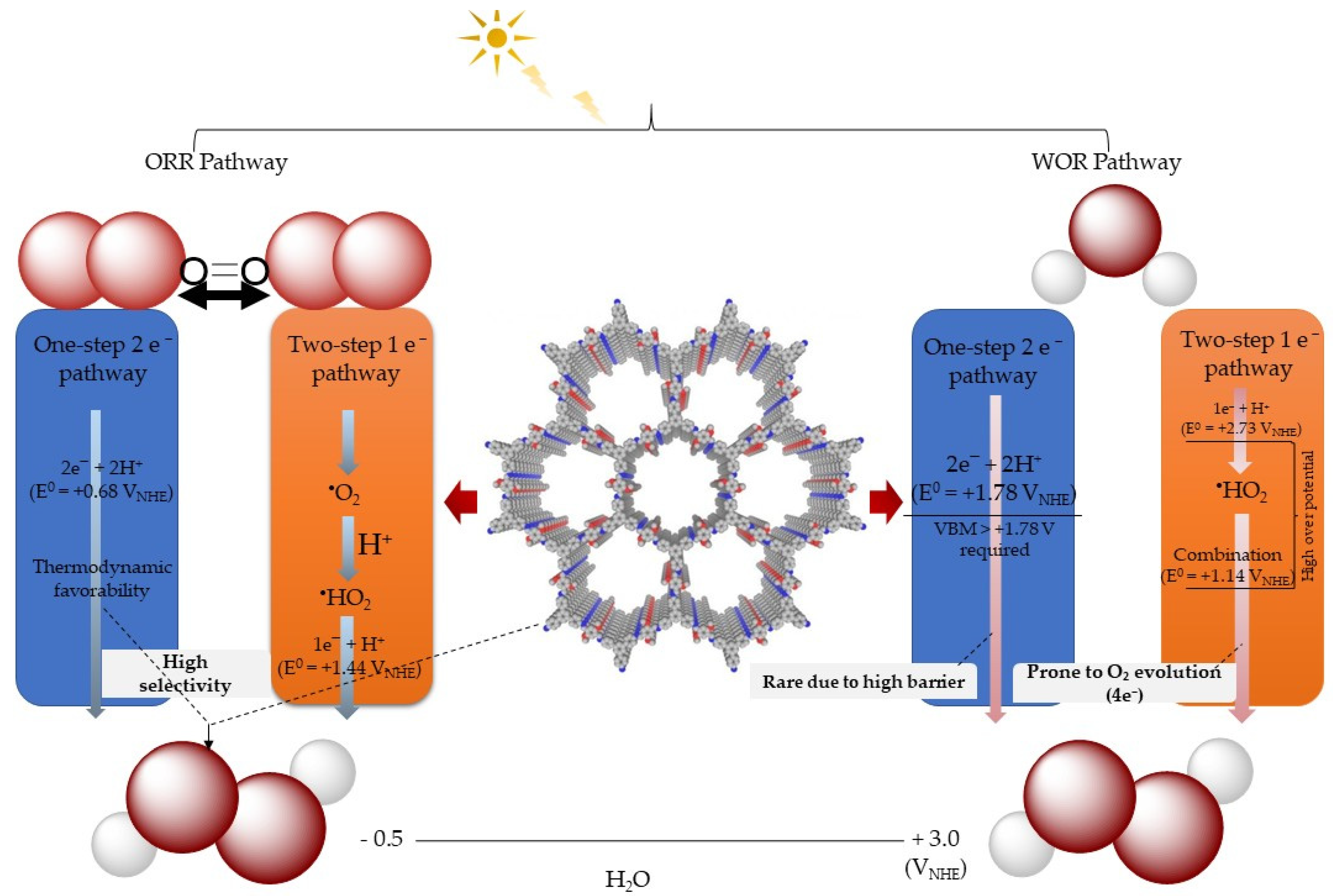 Catalysts 15 01047 sch001 Catalysts 15 01047 sch001