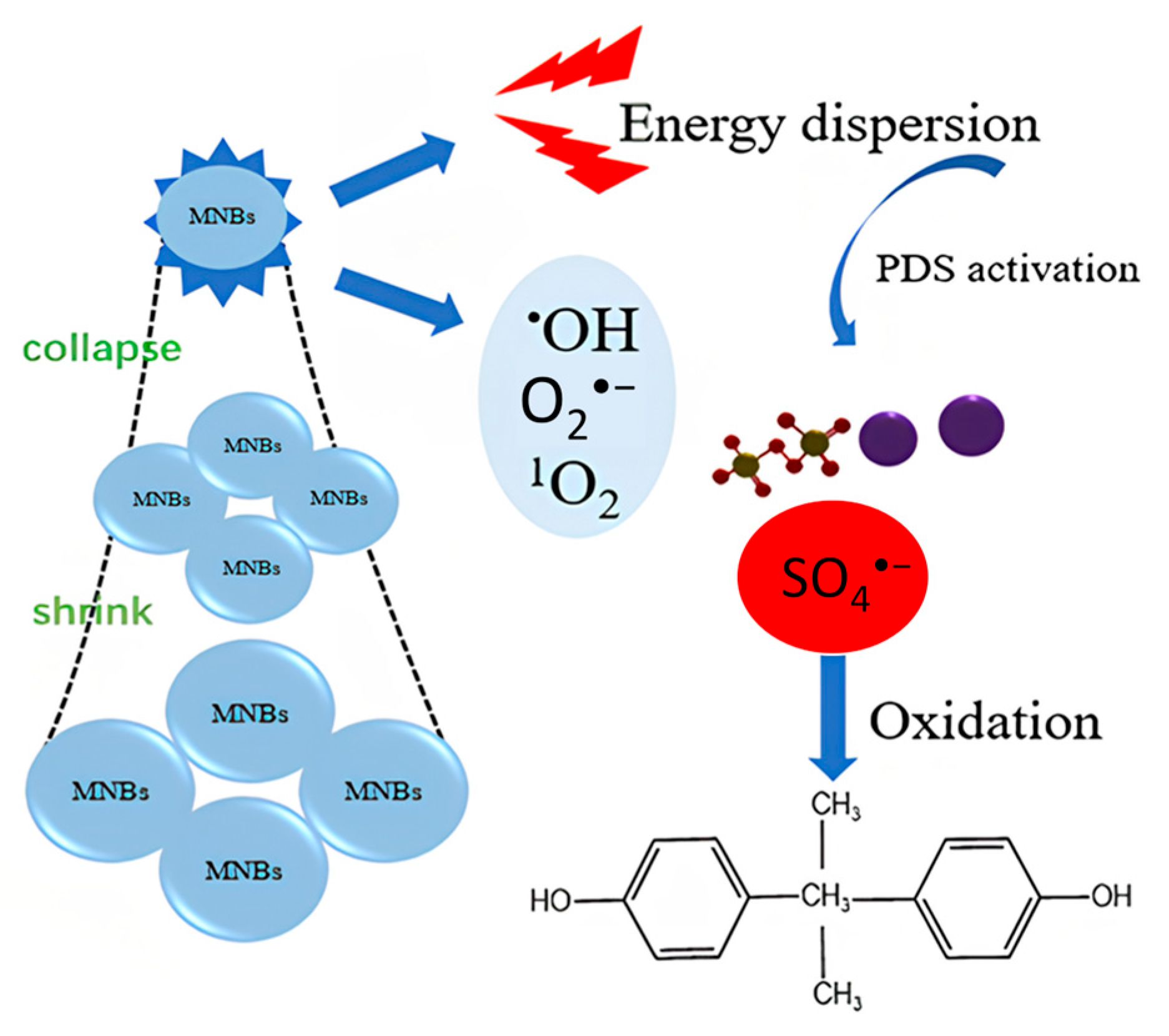 Catalysts 15 01048 g005 Catalysts 15 01048 g005
