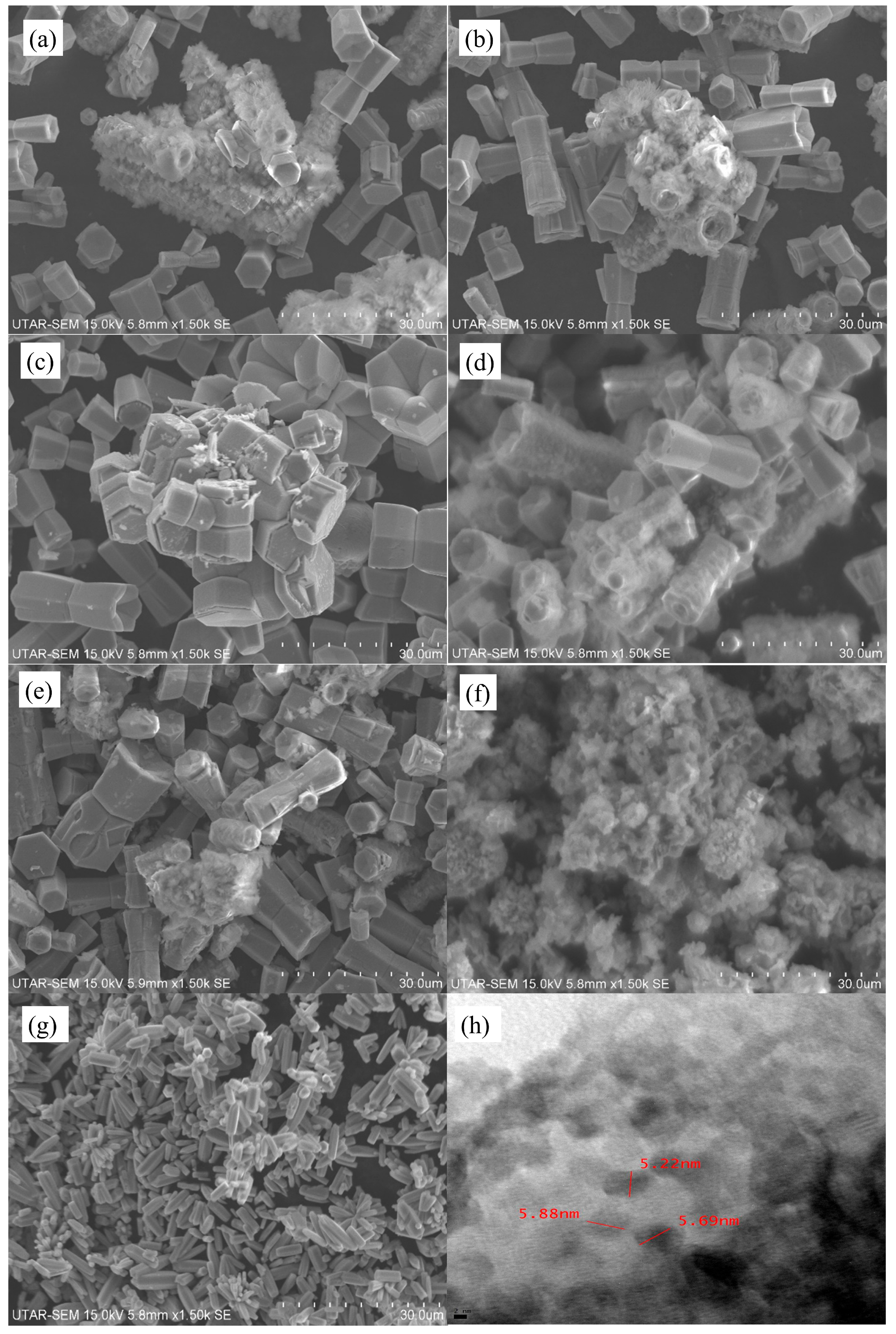 Catalysts 15 01051 g002 Catalysts 15 01051 g002