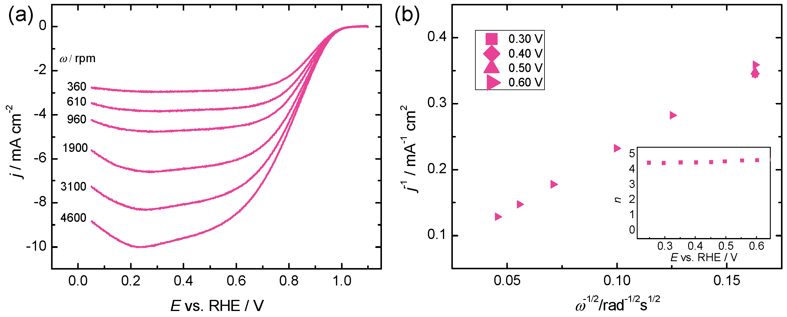 Catalysts 15 01052 g004 Catalysts 15 01052 g004