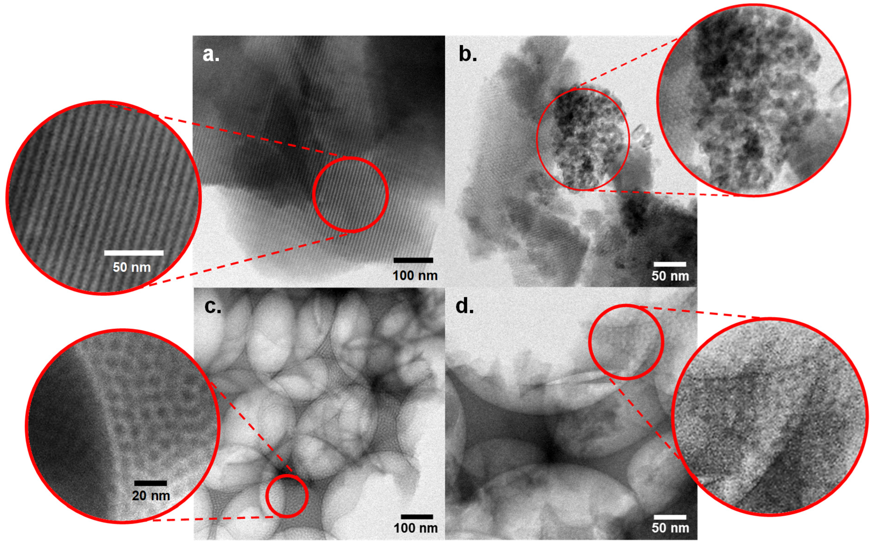 Catalysts 15 01054 g004 Catalysts 15 01054 g004