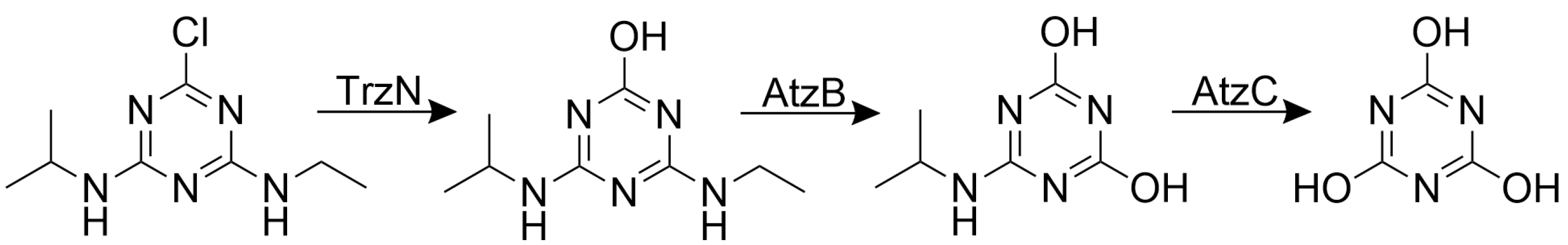 Catalysts 15 01055 g001 Catalysts 15 01055 g001
