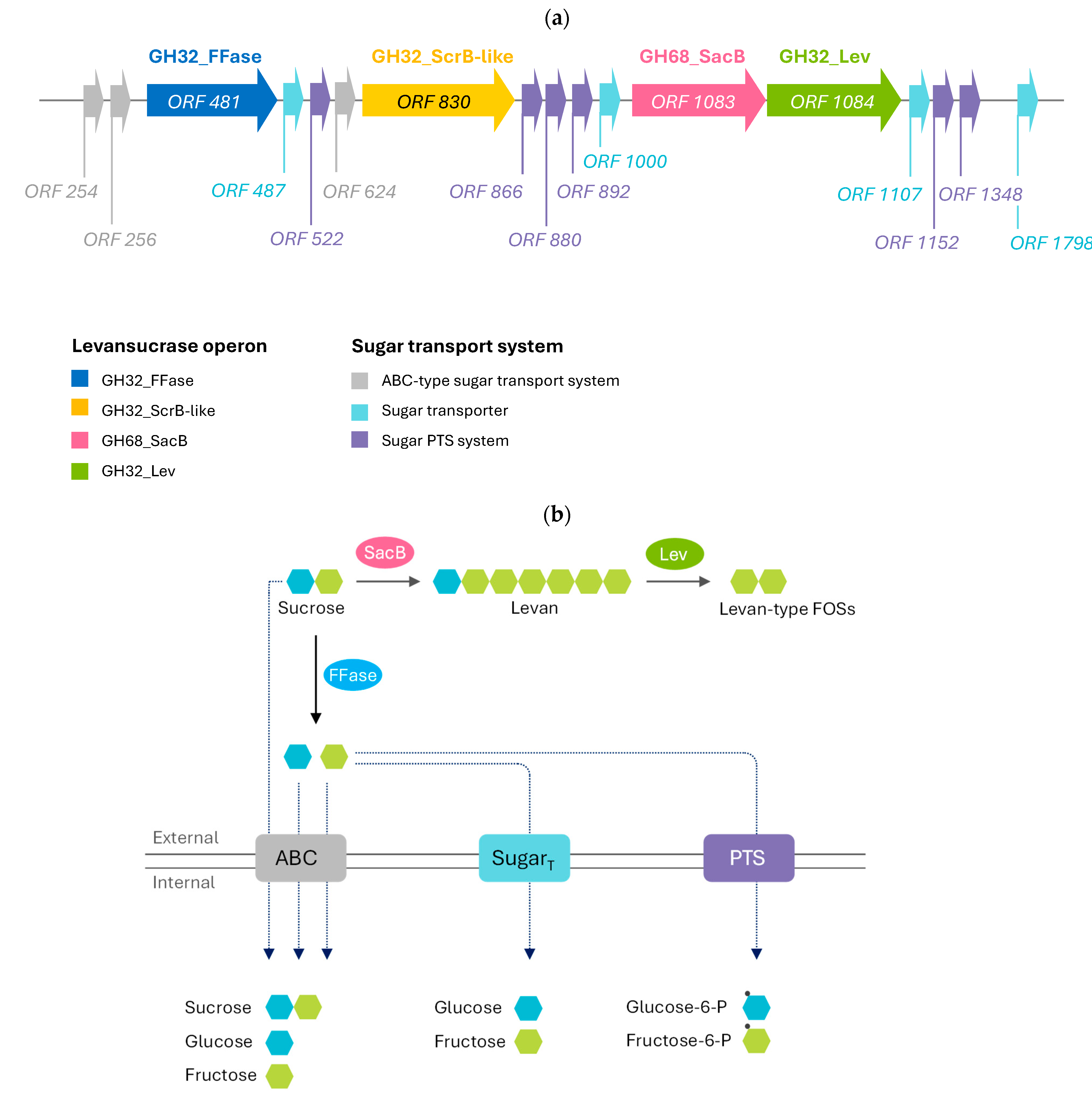 Catalysts 15 01059 g001 Catalysts 15 01059 g001