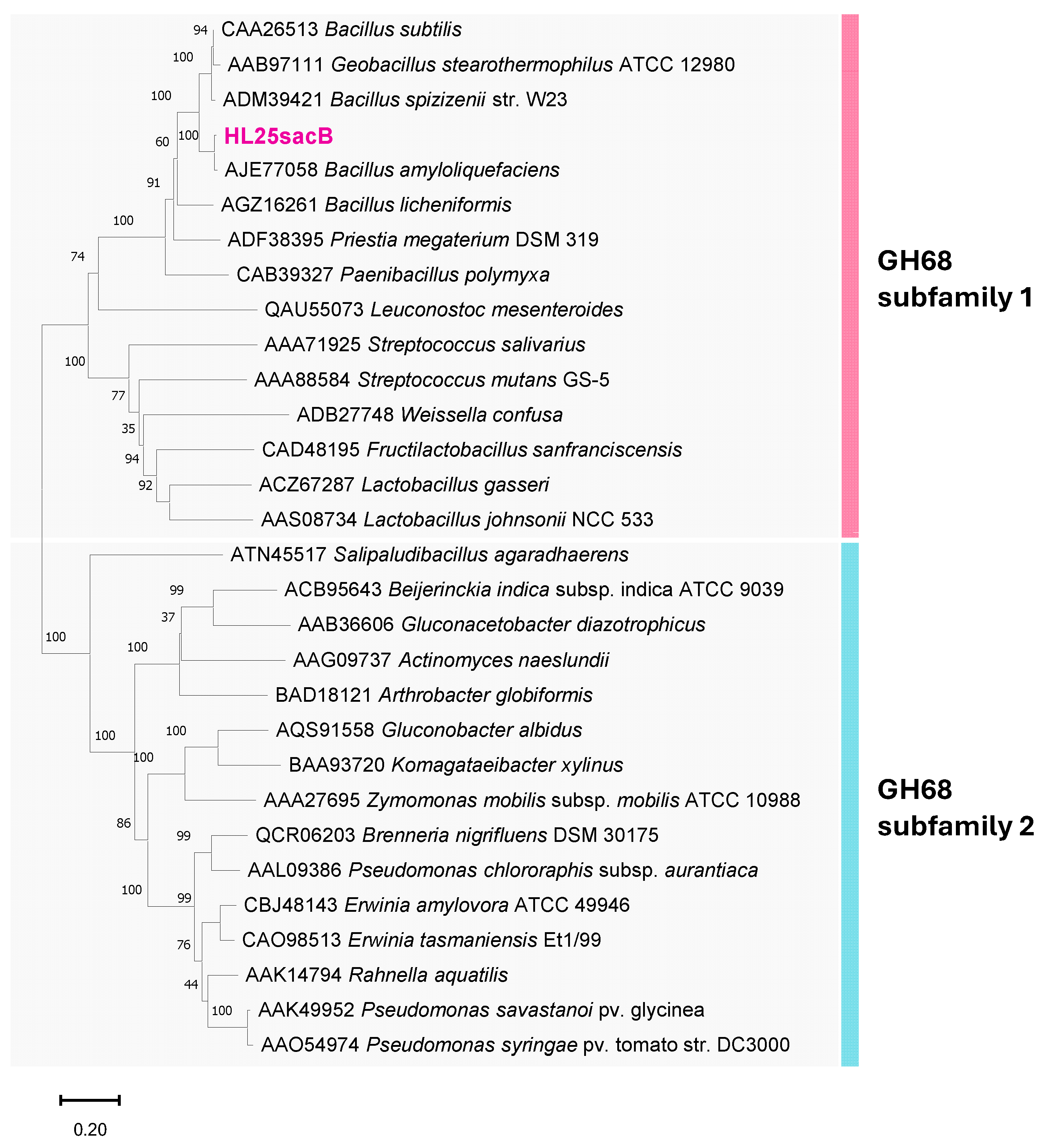 Catalysts 15 01059 g002 Catalysts 15 01059 g002