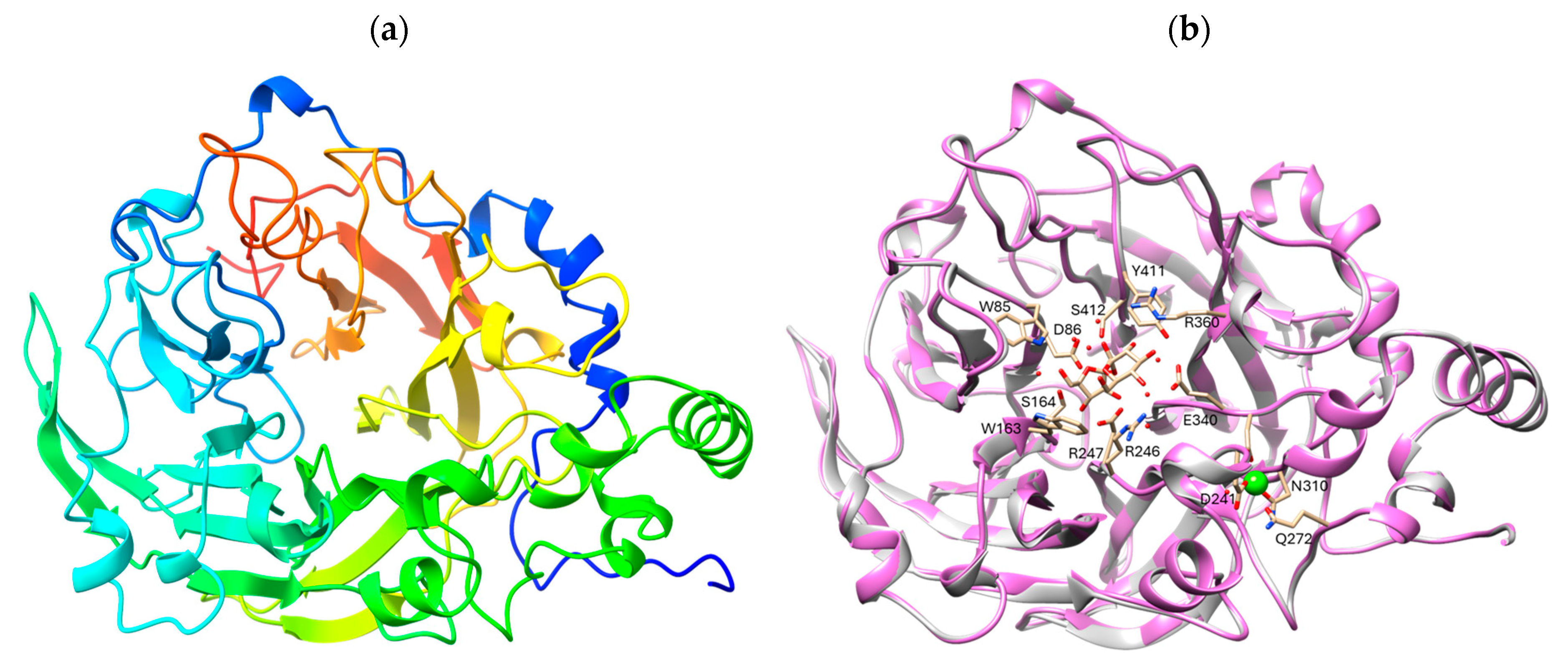 Catalysts 15 01059 g003 Catalysts 15 01059 g003