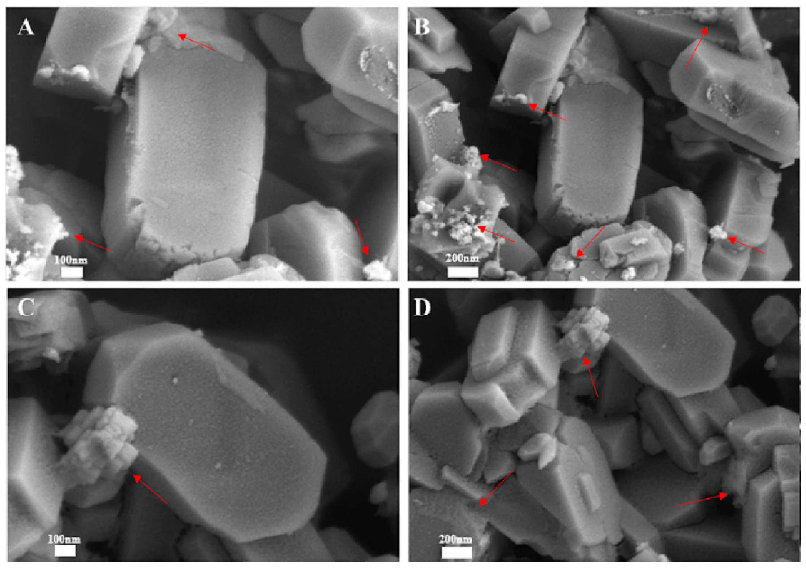 Catalysts 15 01060 g007 Catalysts 15 01060 g007
