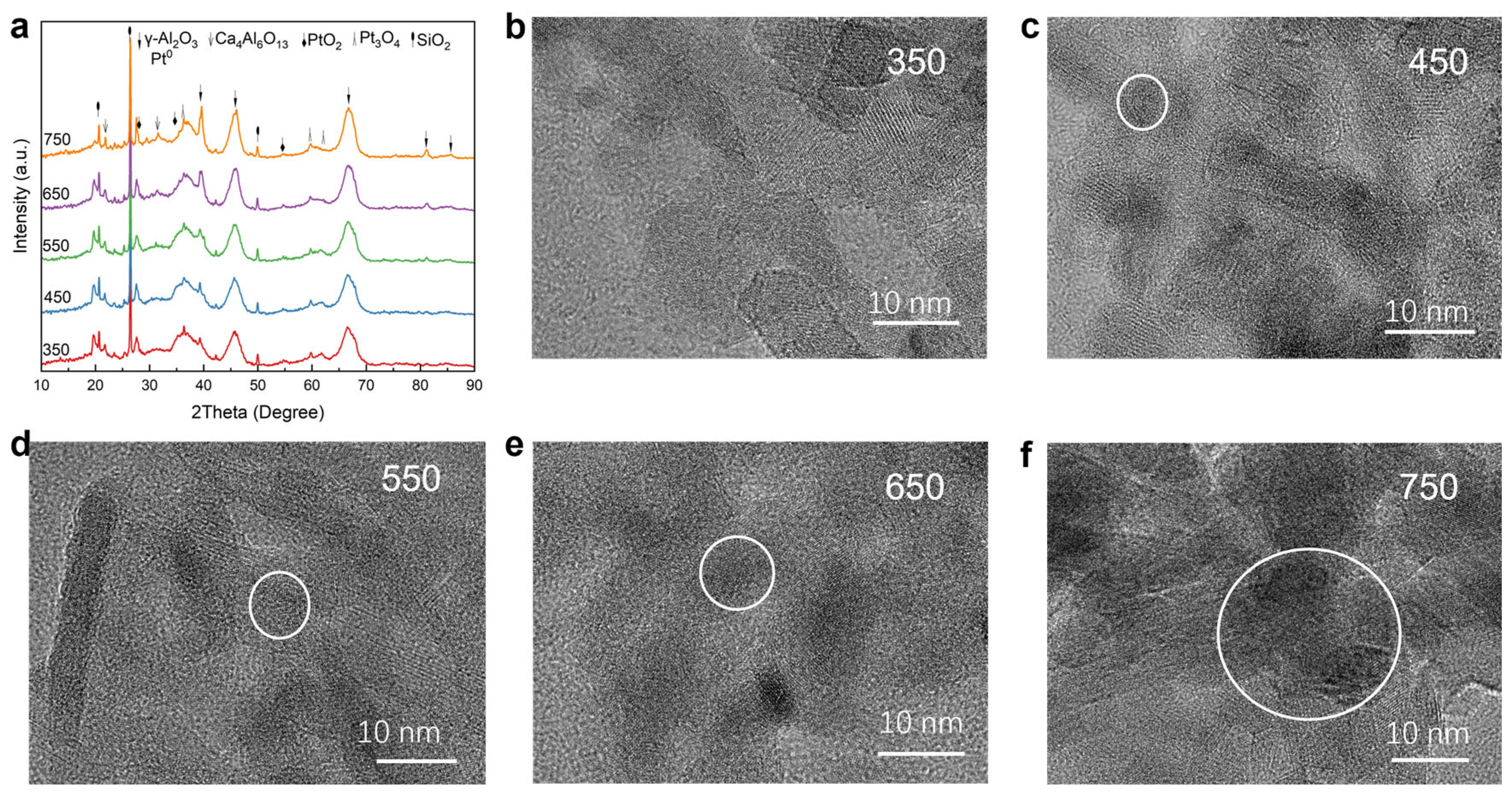 Catalysts 15 01064 g004 Catalysts 15 01064 g004