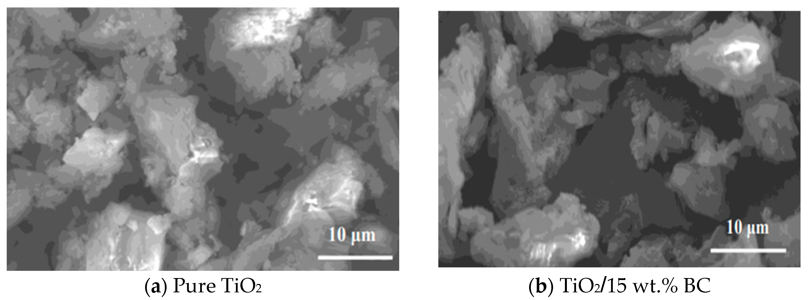 Catalysts 15 01065 g002