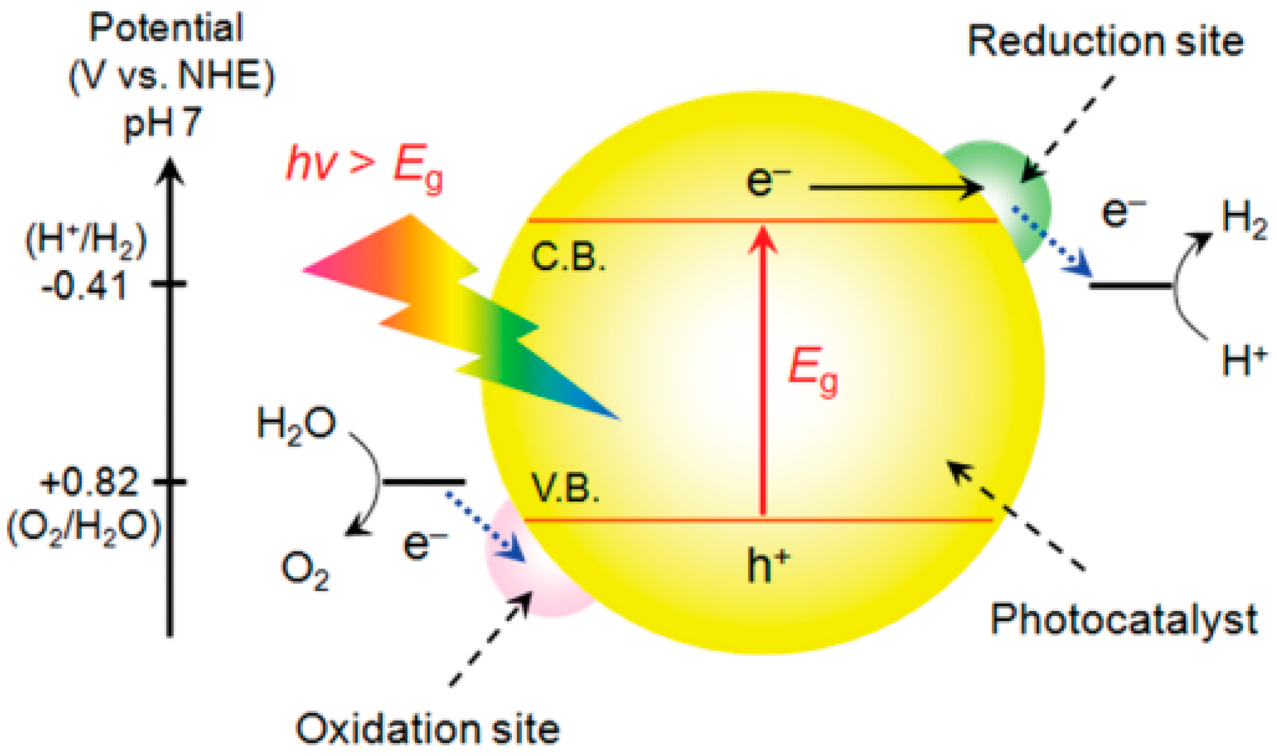 Catalysts 15 01067 g002