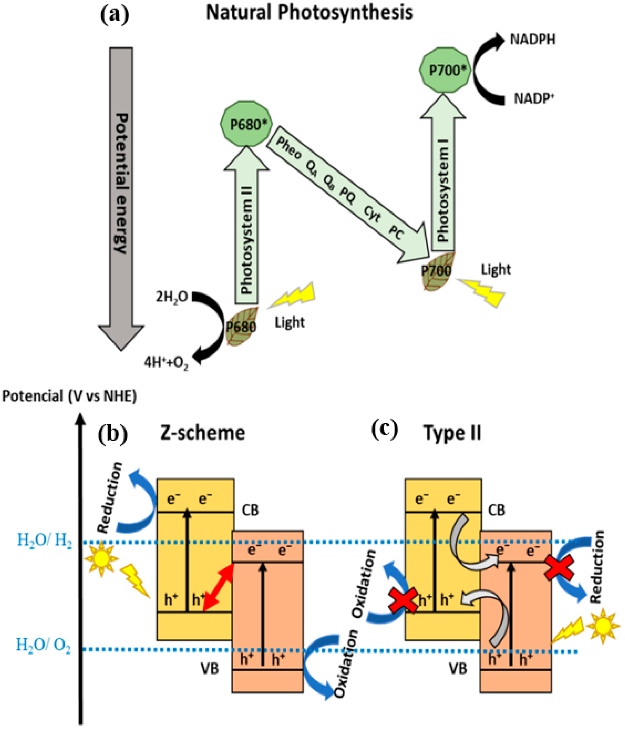 Catalysts 15 01067 g003