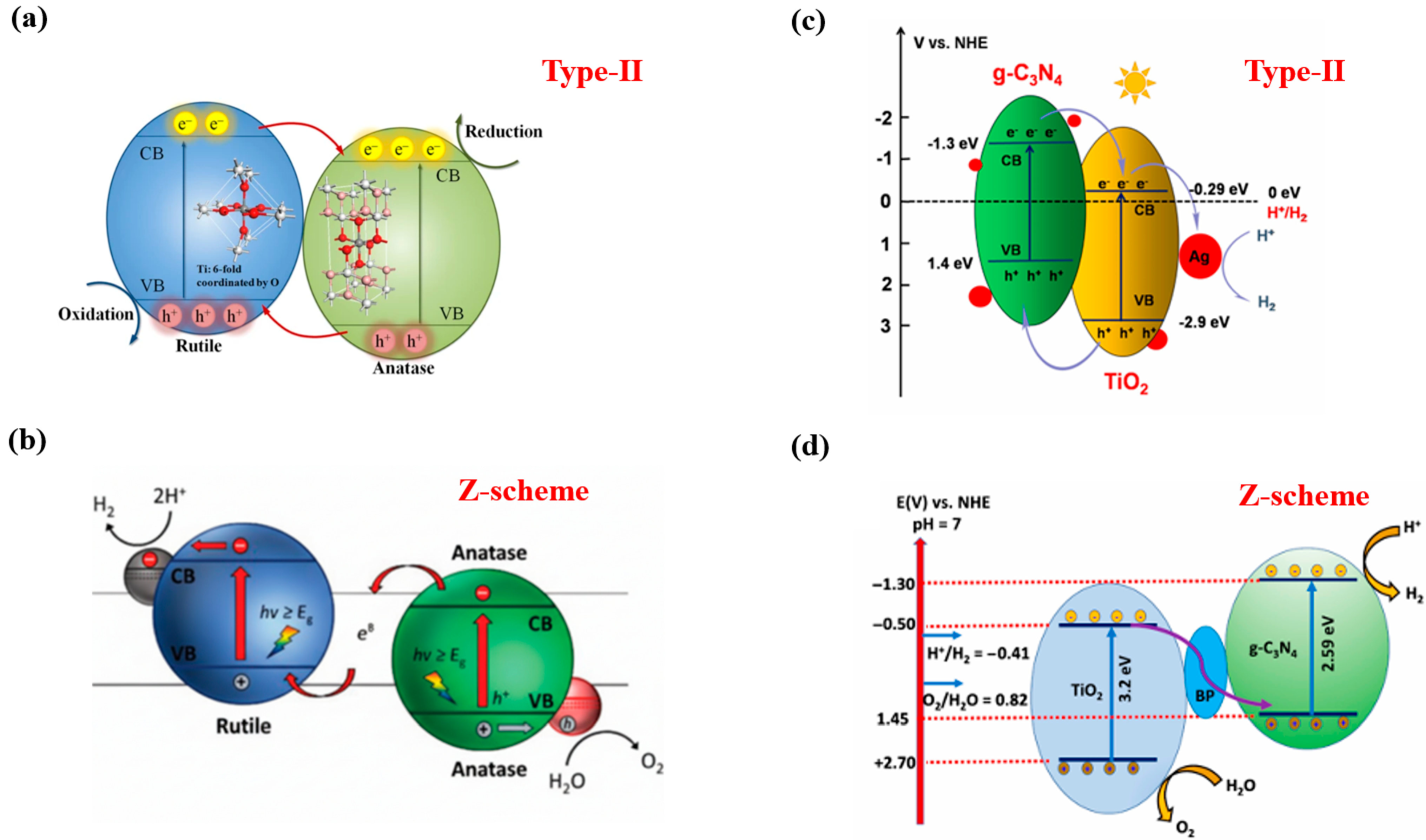 Catalysts 15 01067 g008