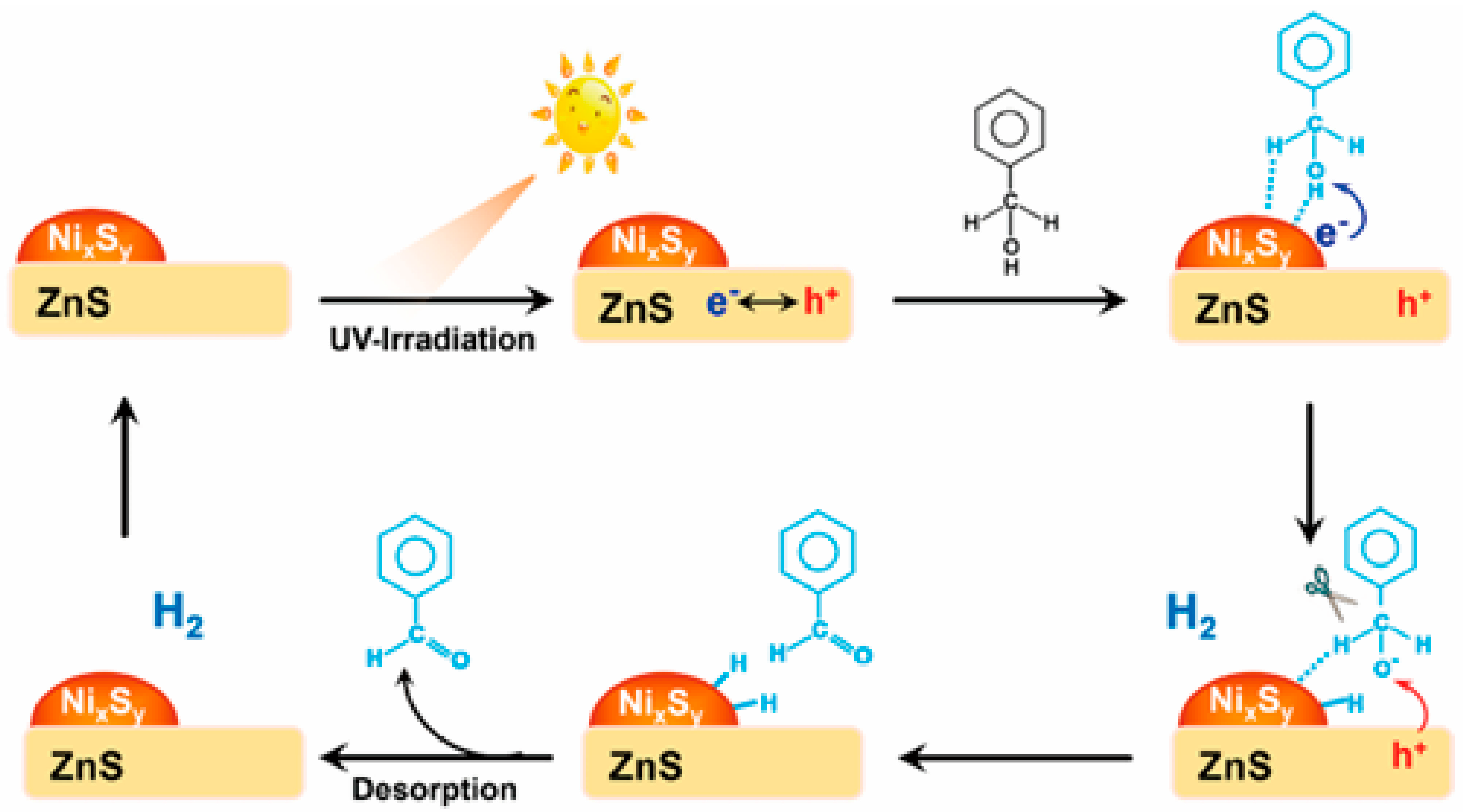 Catalysts 15 01067 g010