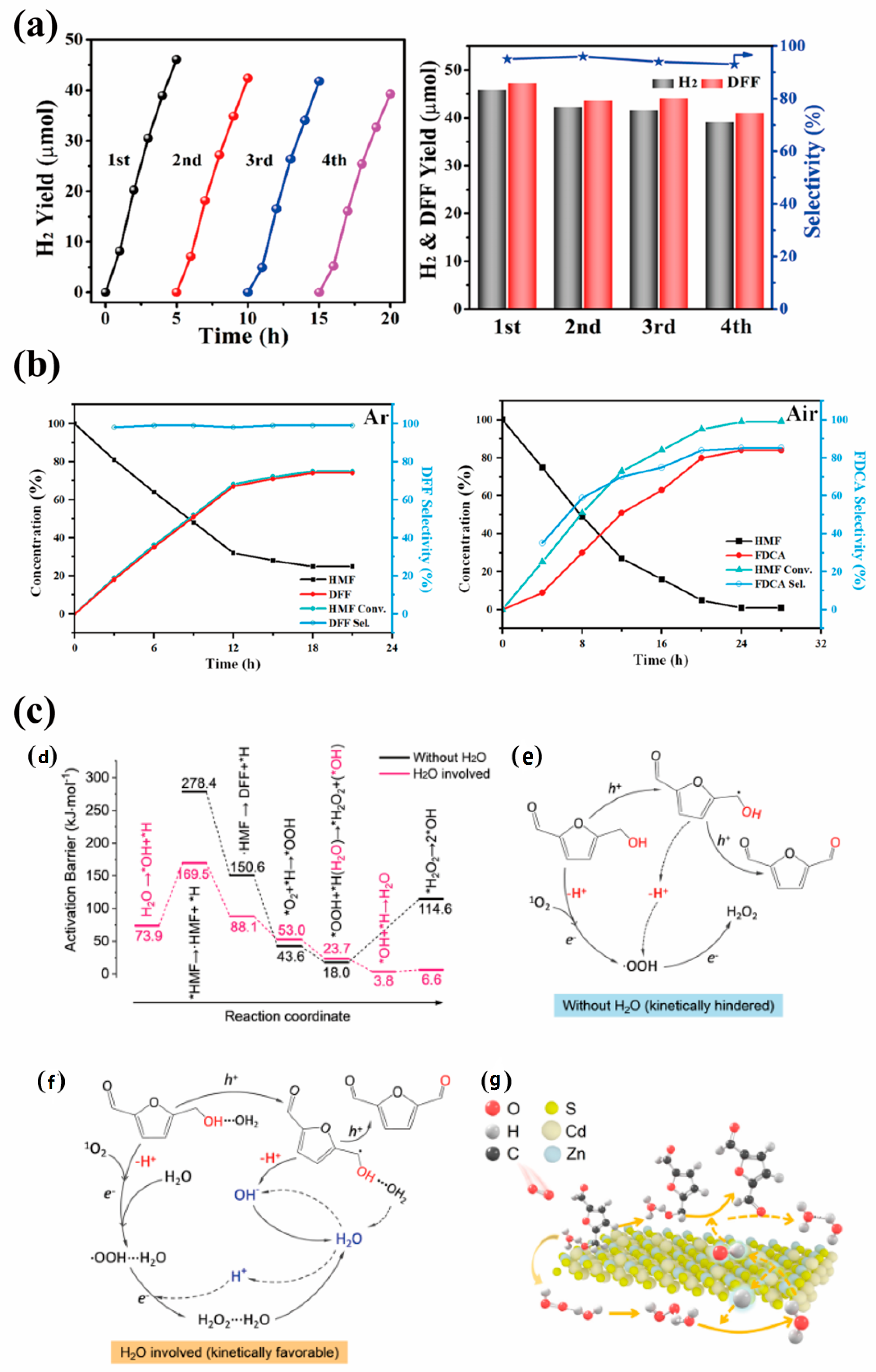 Catalysts 15 01067 g011