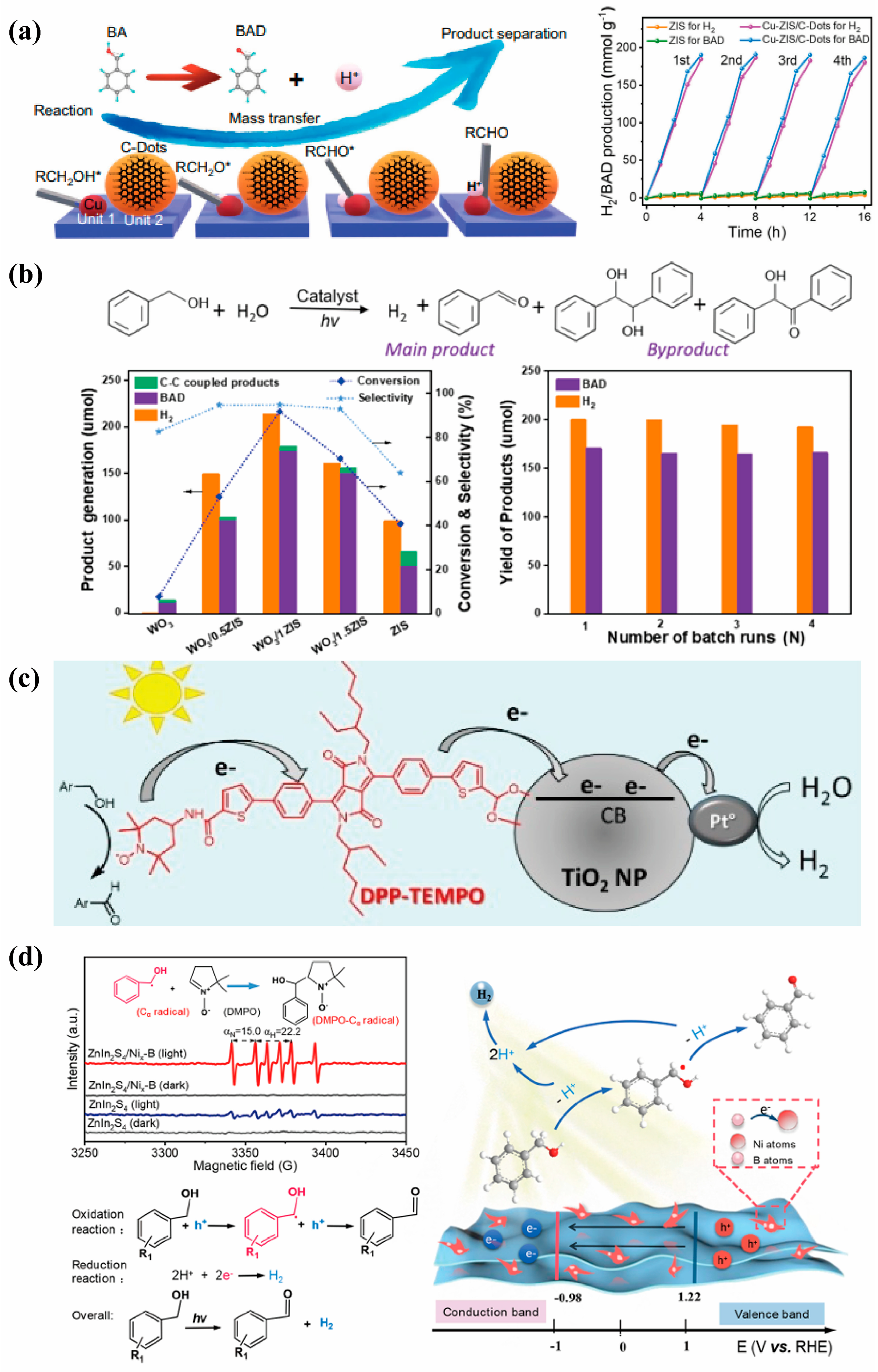 Catalysts 15 01067 g012