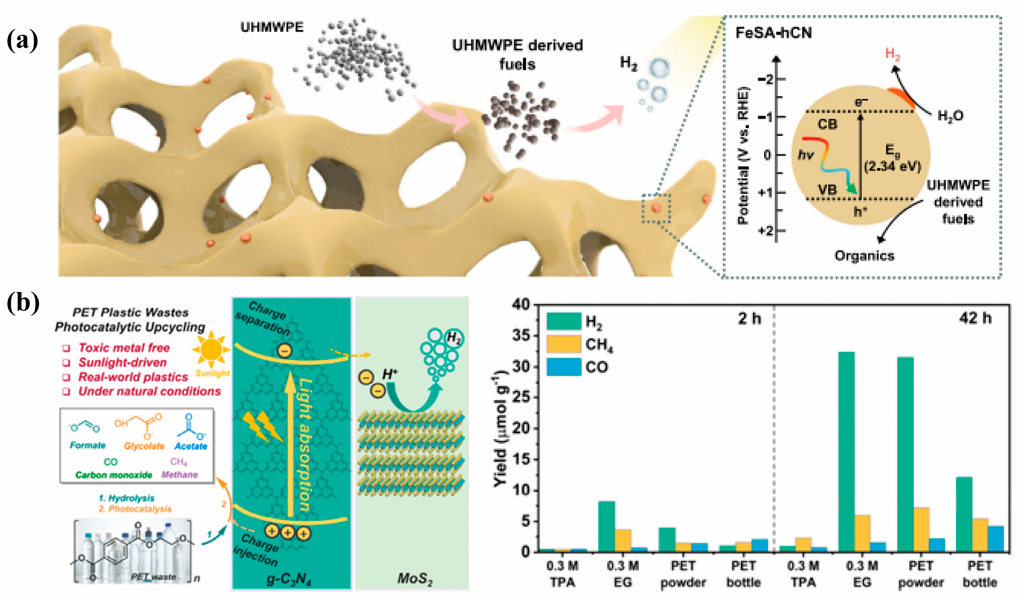Catalysts 15 01067 g013