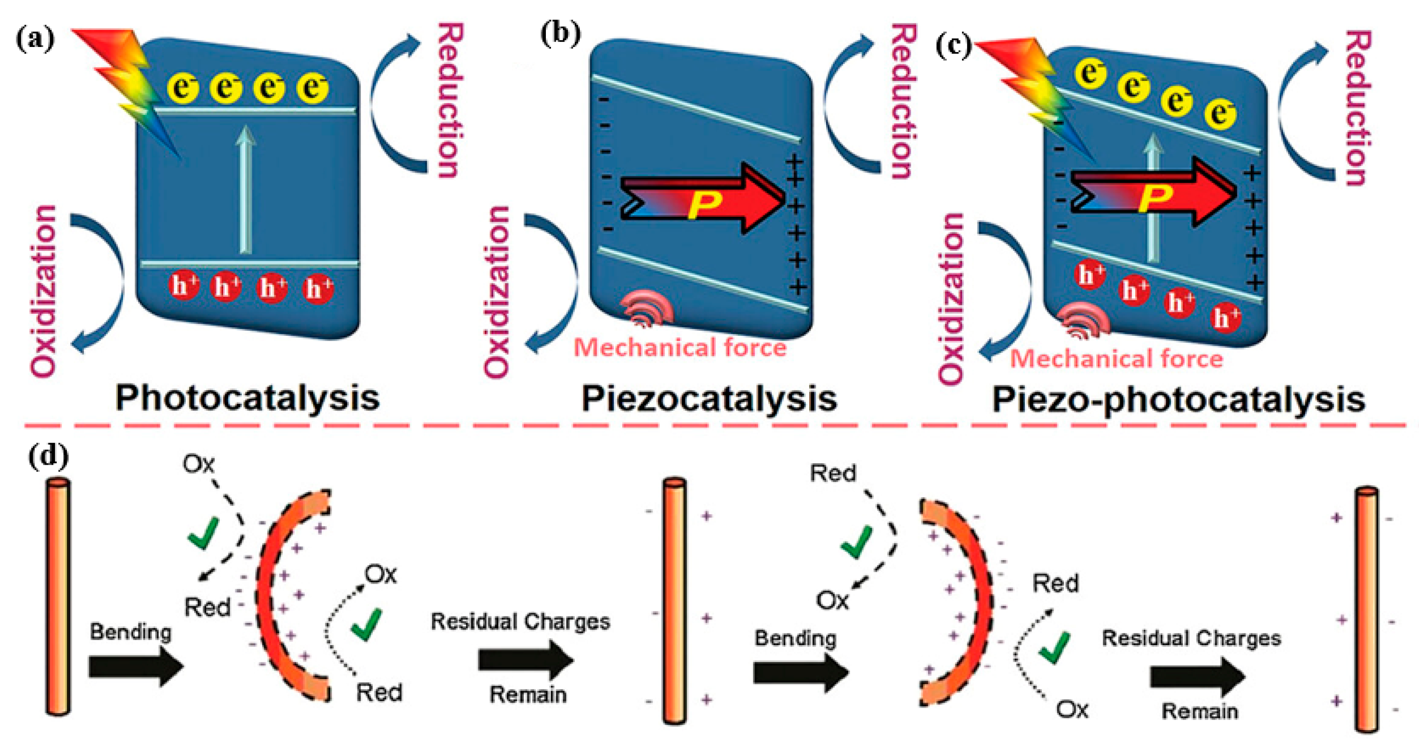 Catalysts 15 01067 g021