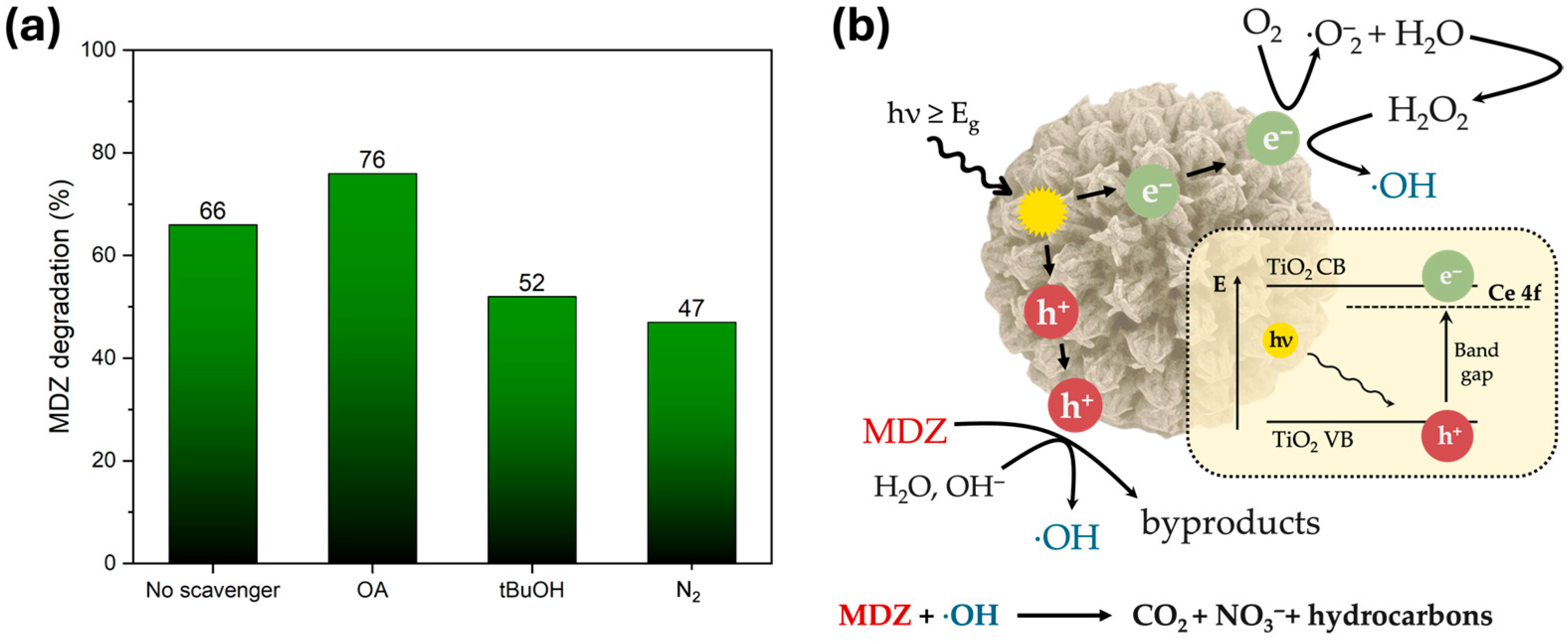 Catalysts 15 01069 g005