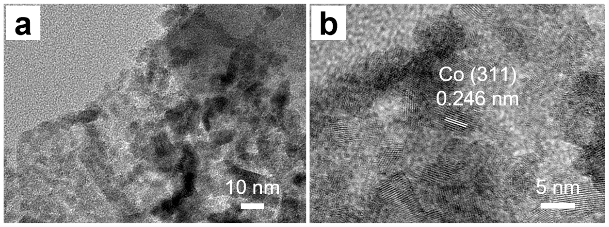 Catalysts 15 01071 g003 Catalysts 15 01071 g003