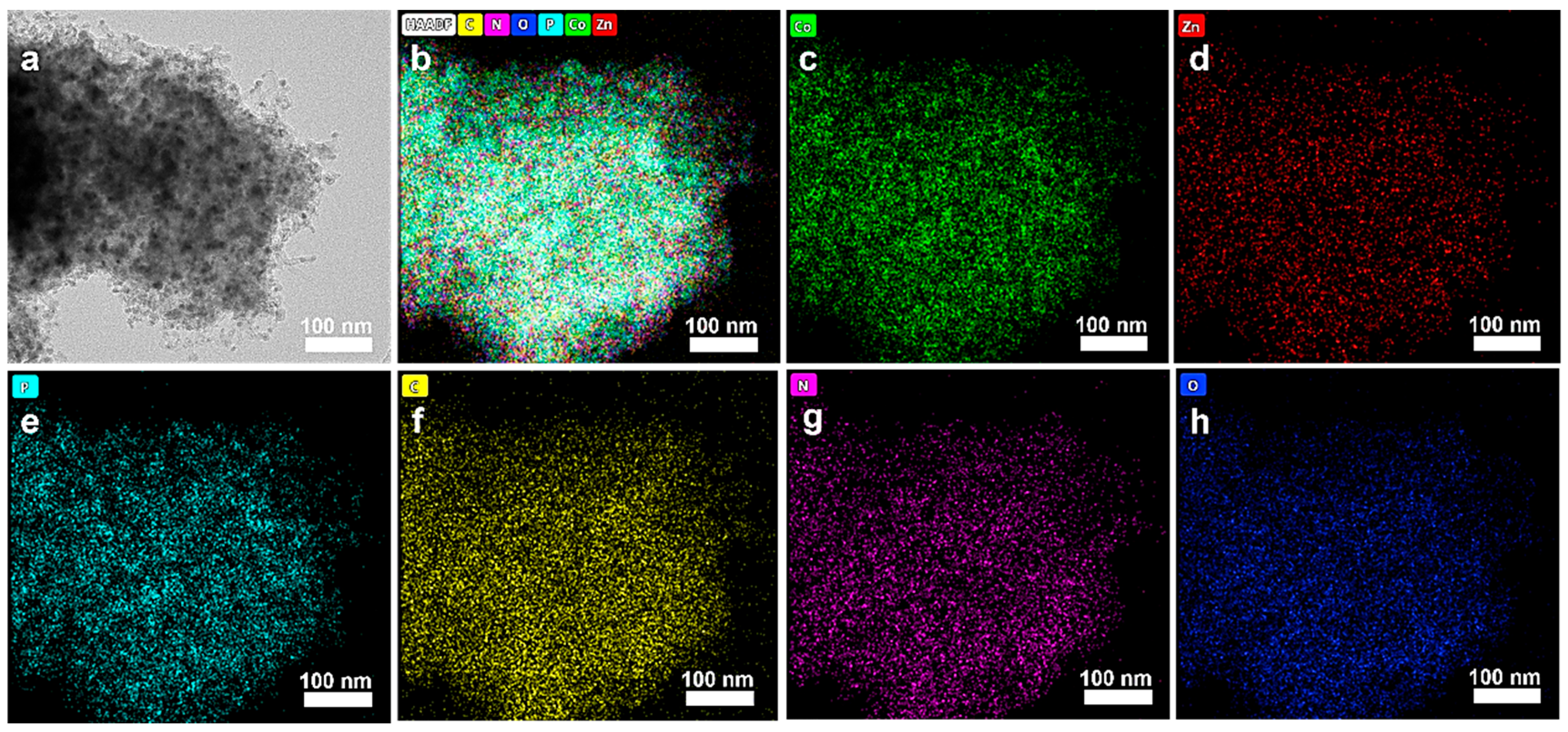 Catalysts 15 01071 g006 Catalysts 15 01071 g006
