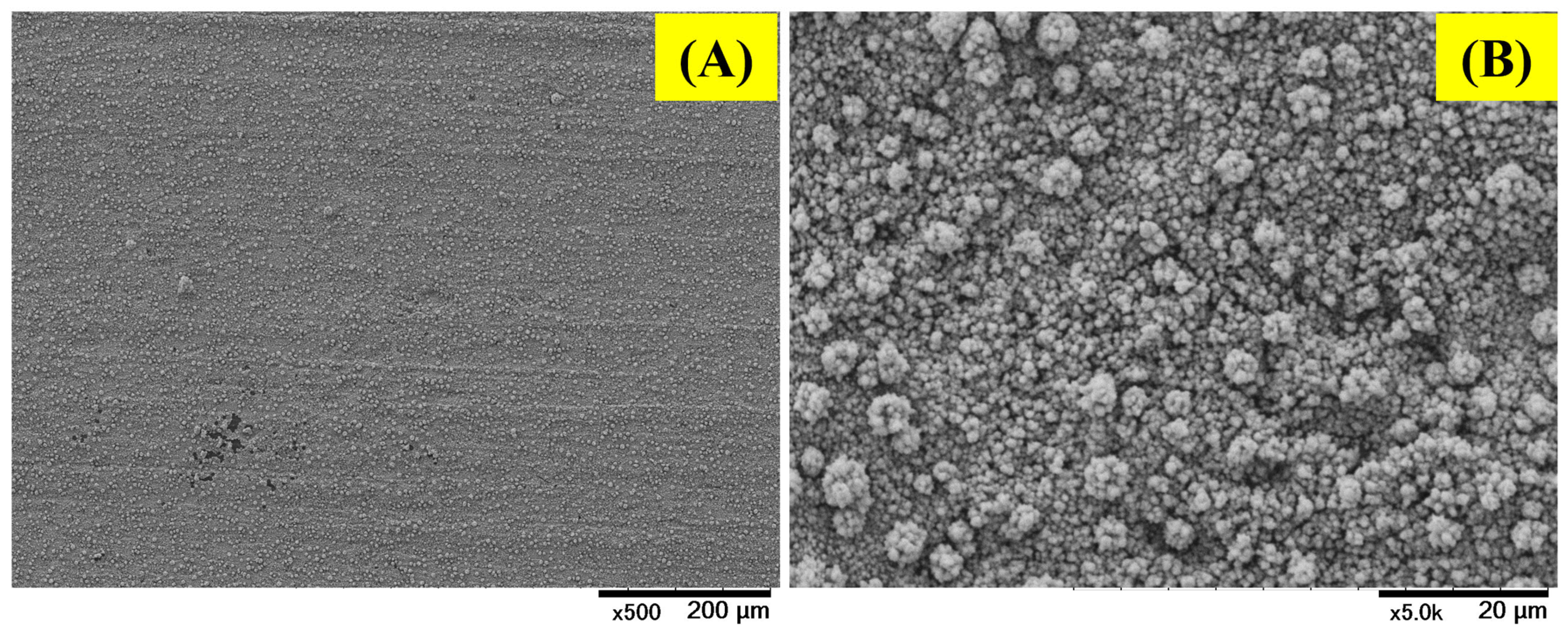 Catalysts 15 01074 g003