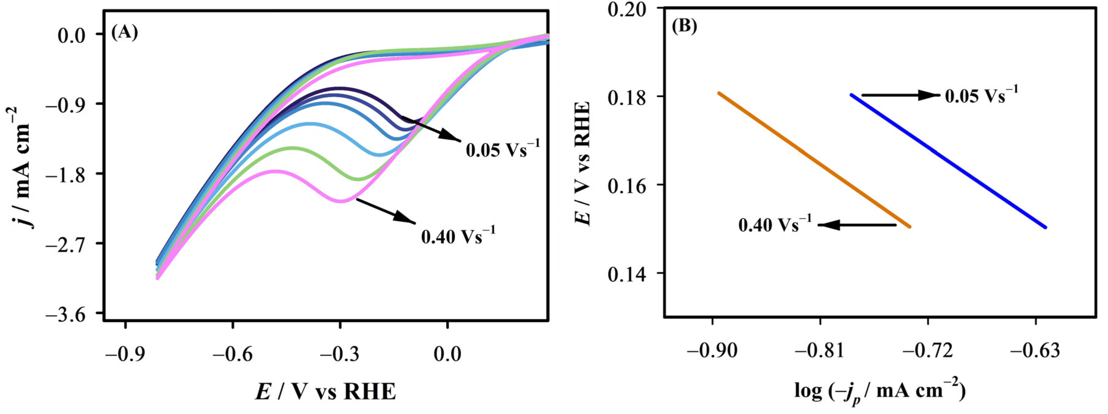 Catalysts 15 01074 g008