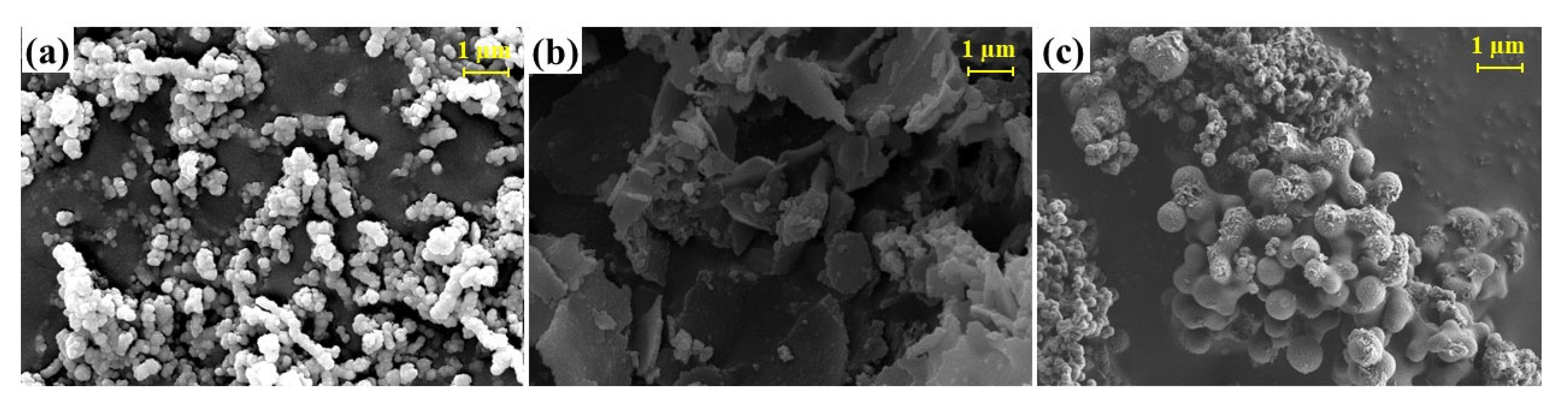 Catalysts 15 01077 g001