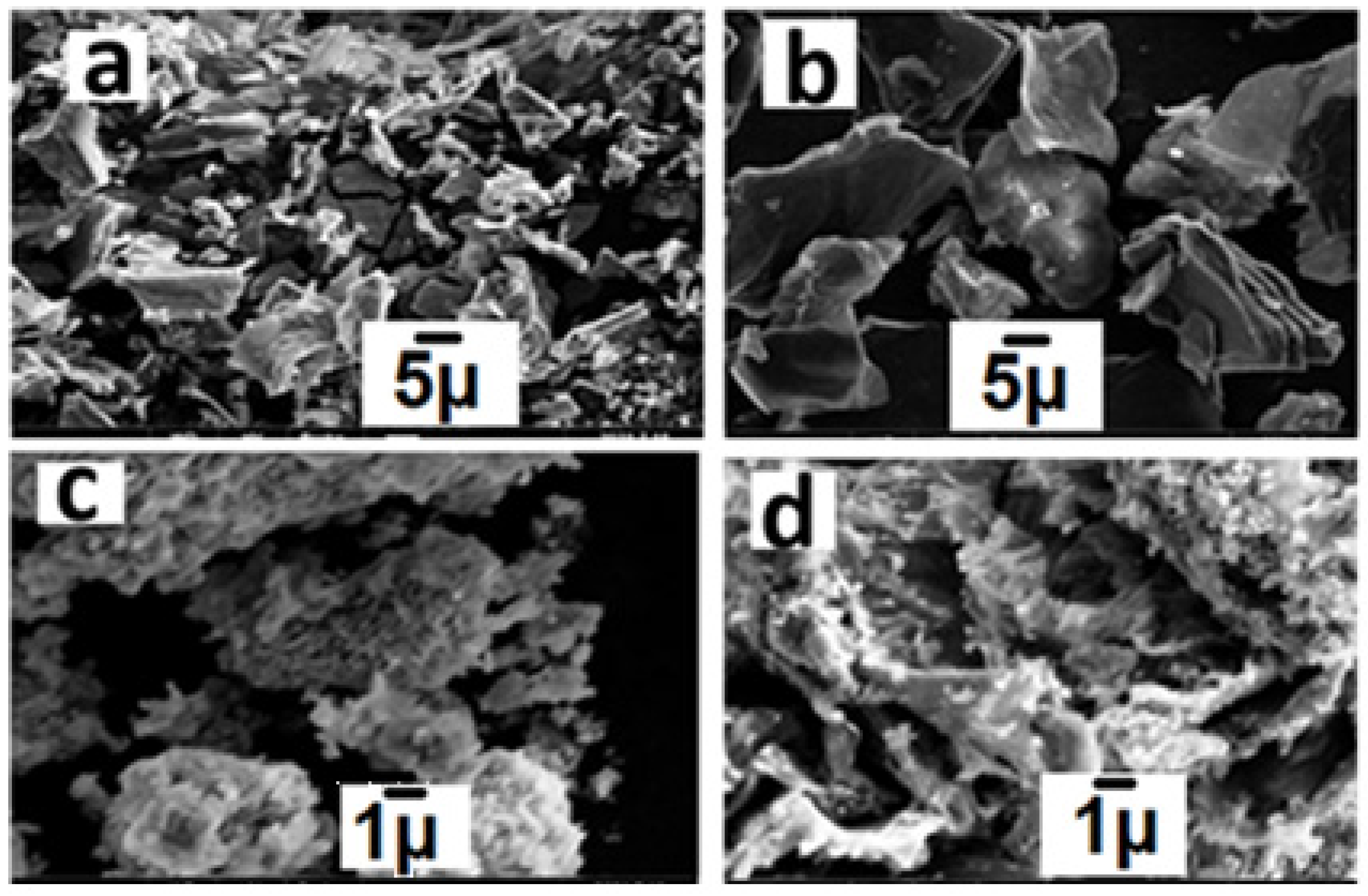 Catalysts 15 01078 g001