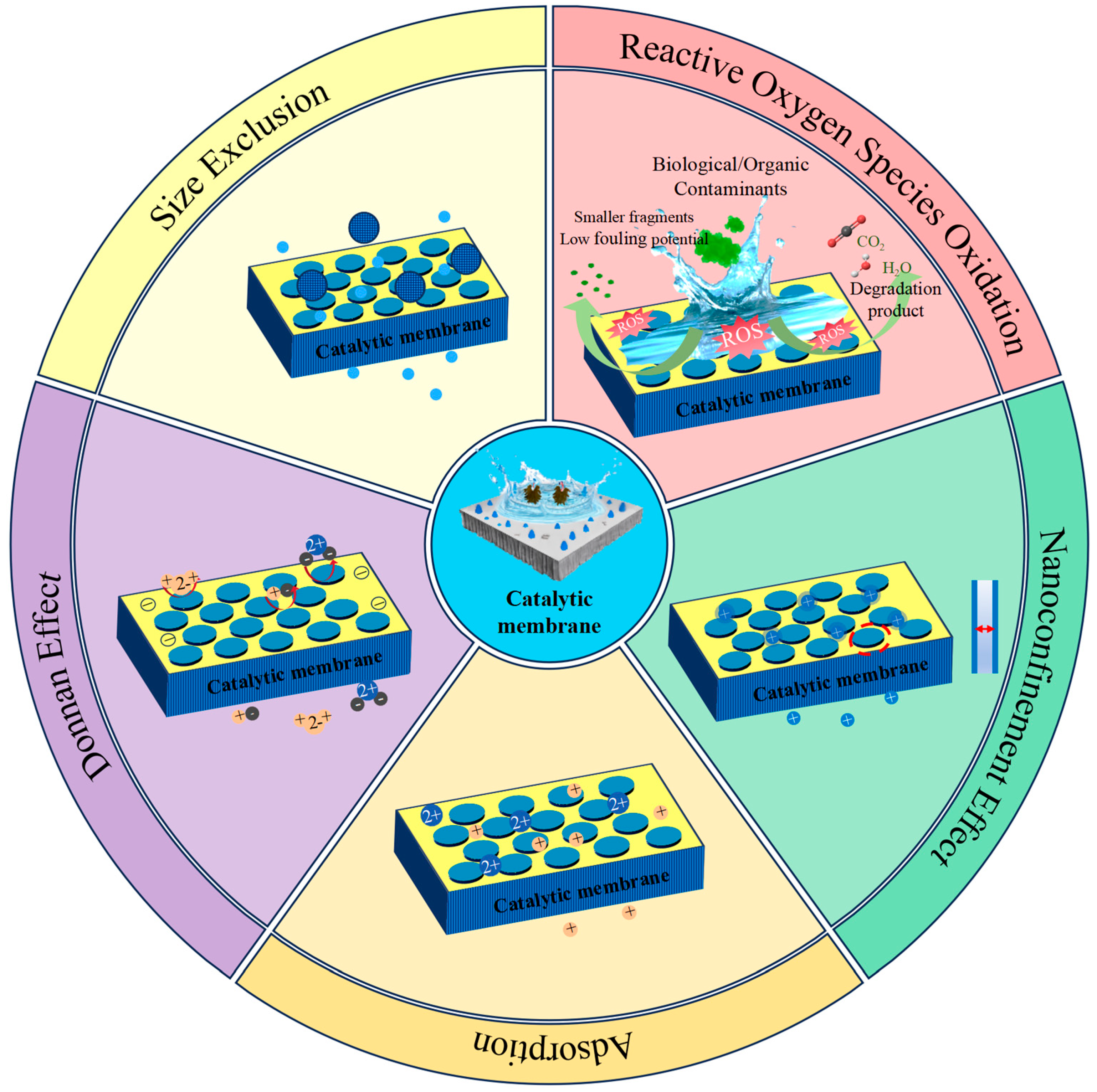 Catalysts 15 01081 g002 Catalysts 15 01081 g002