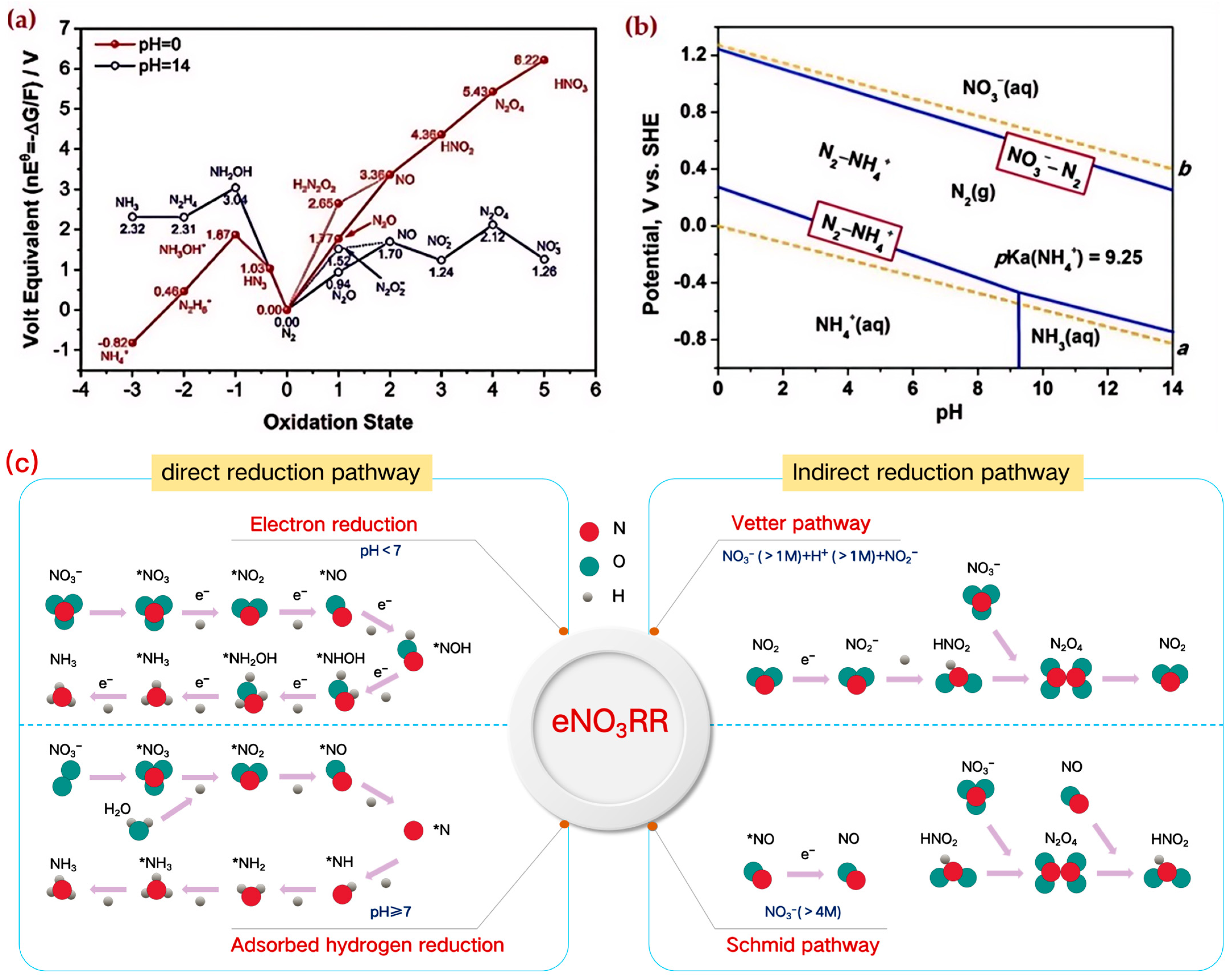 Catalysts 15 01084 g001