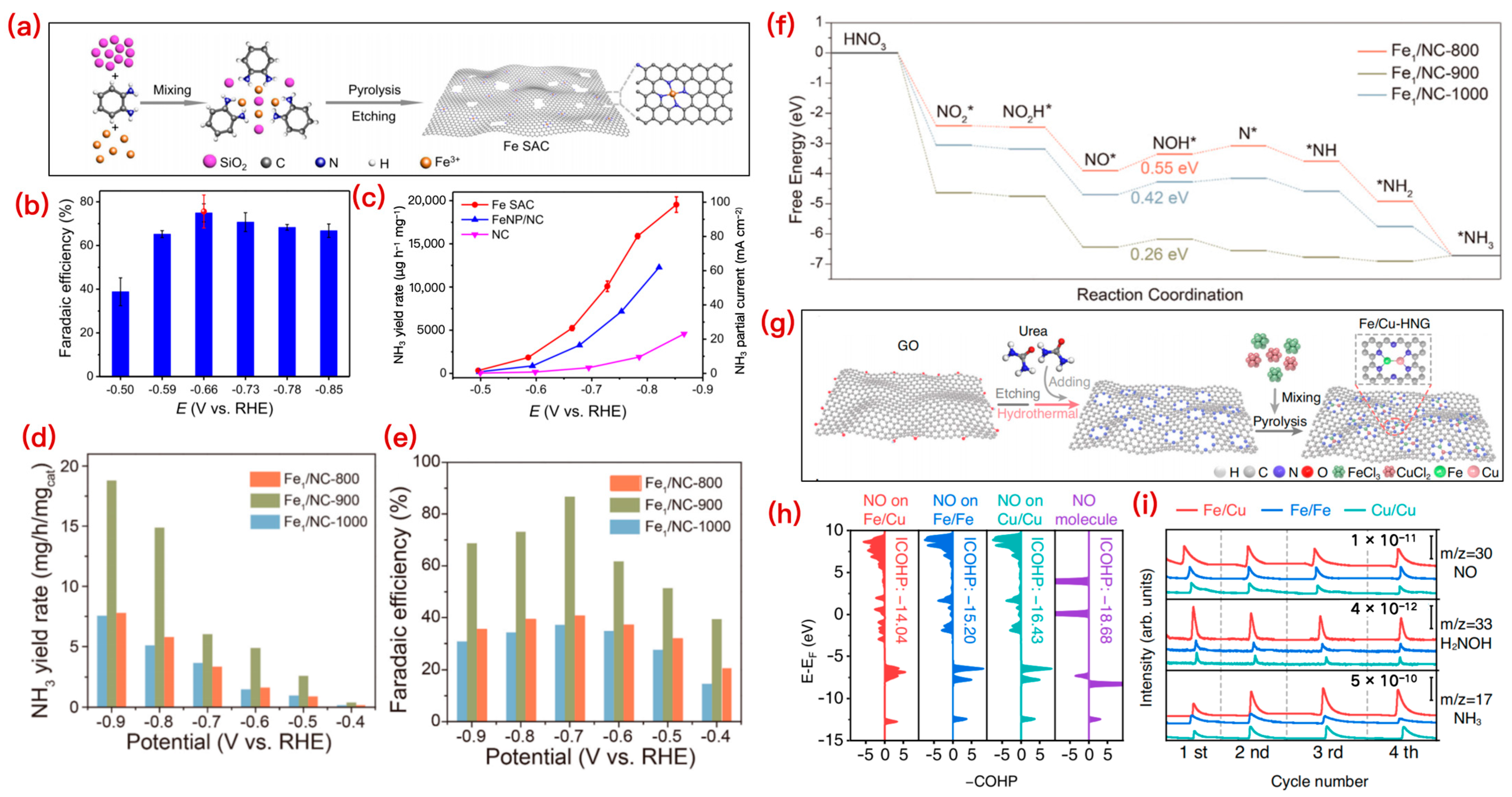 Catalysts 15 01084 g006