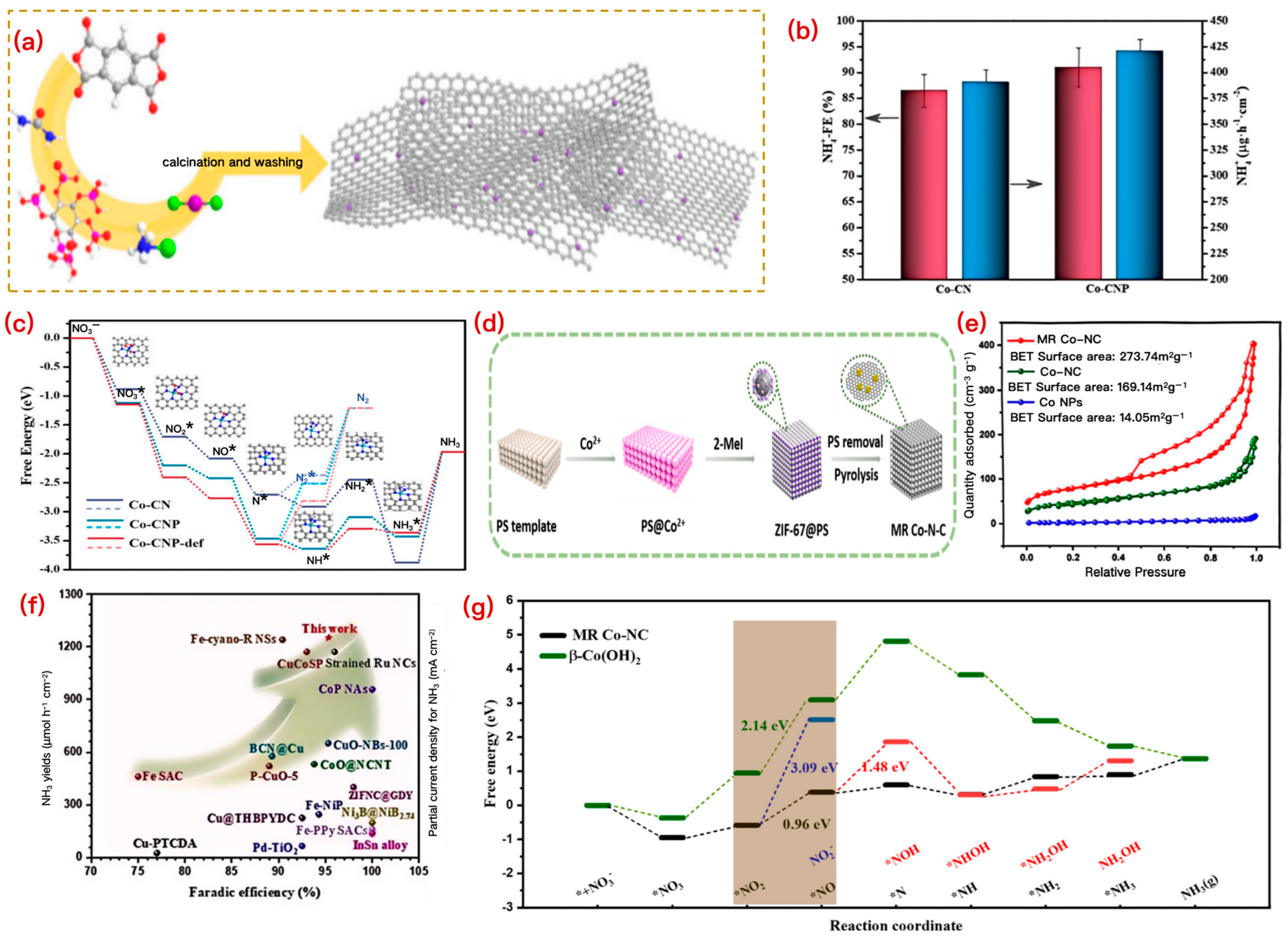 Catalysts 15 01084 g007