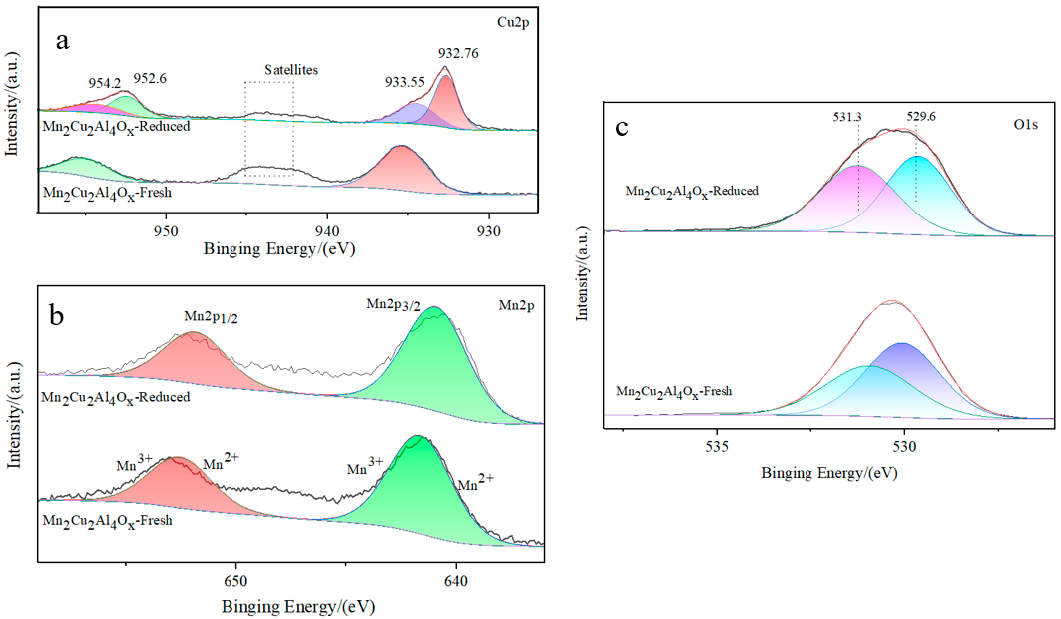 Catalysts 15 01091 g005