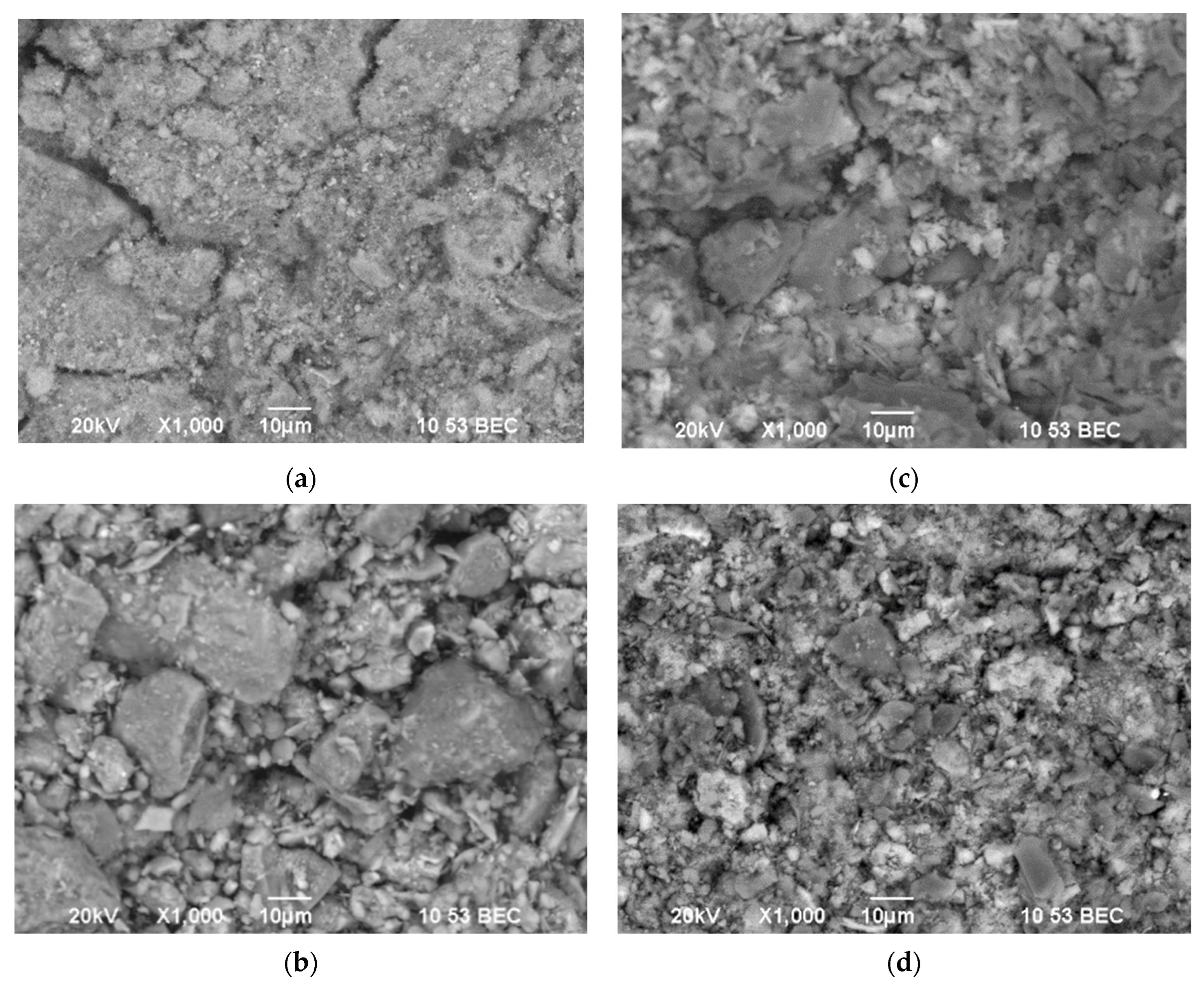 Catalysts 15 01092 g004