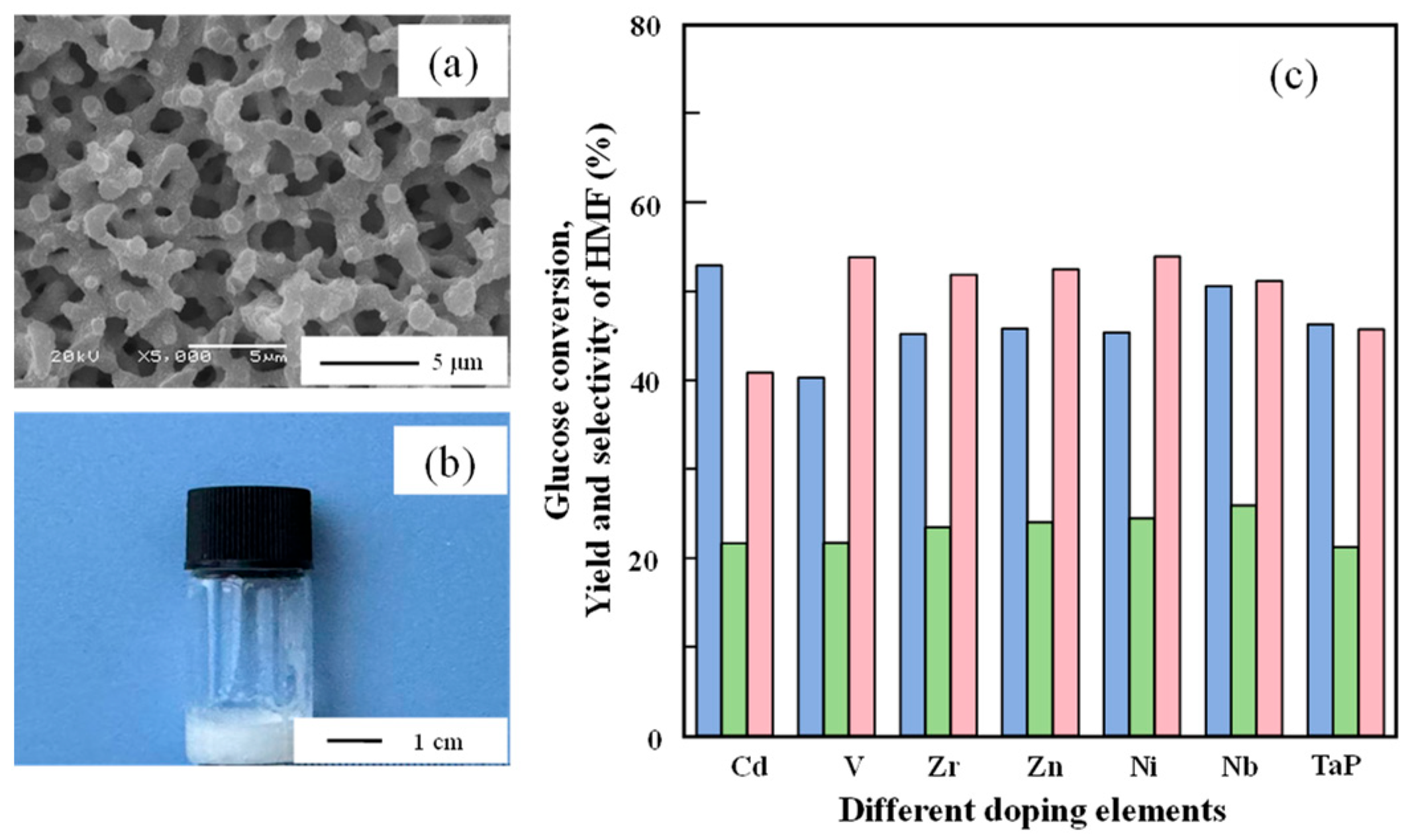 Catalysts 15 01095 g001