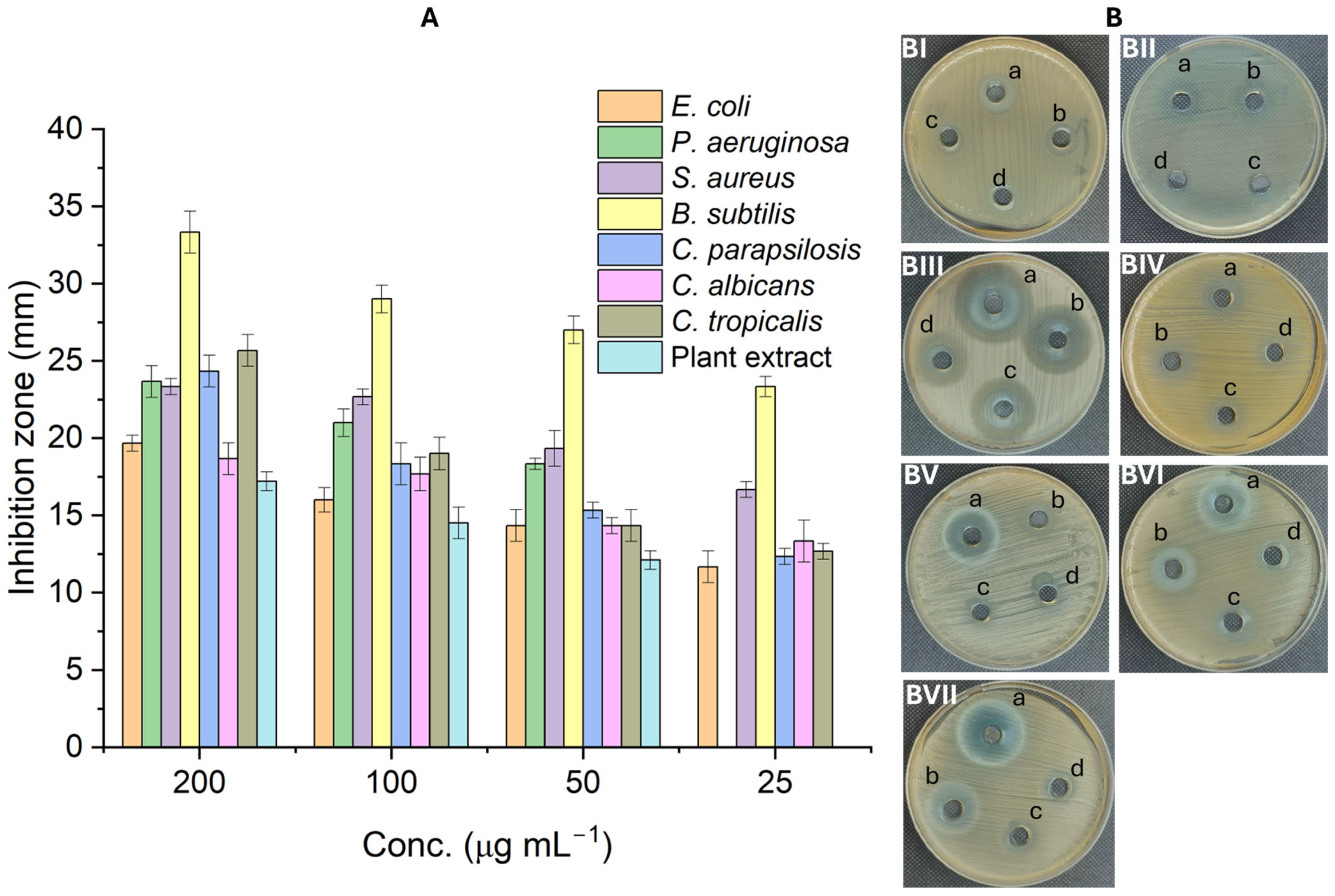 Catalysts 15 01096 g009