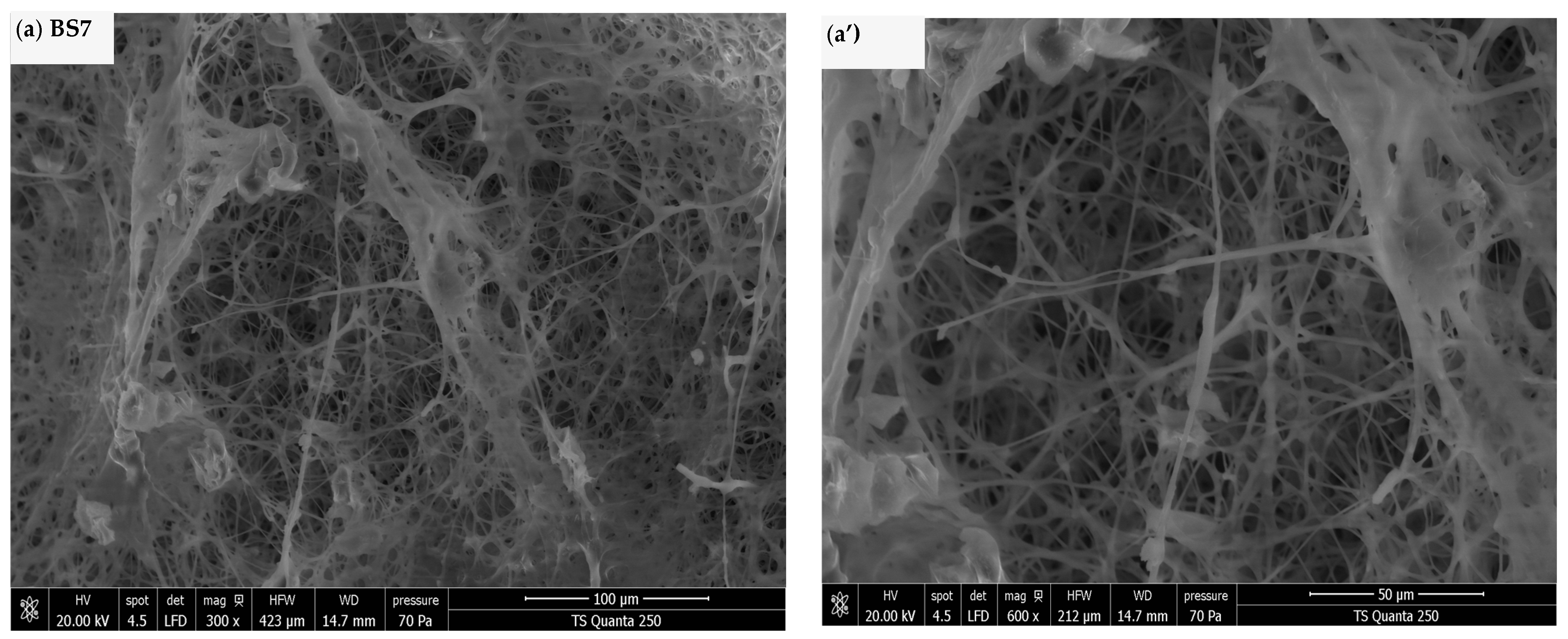 Catalysts 15 01102 g003a
