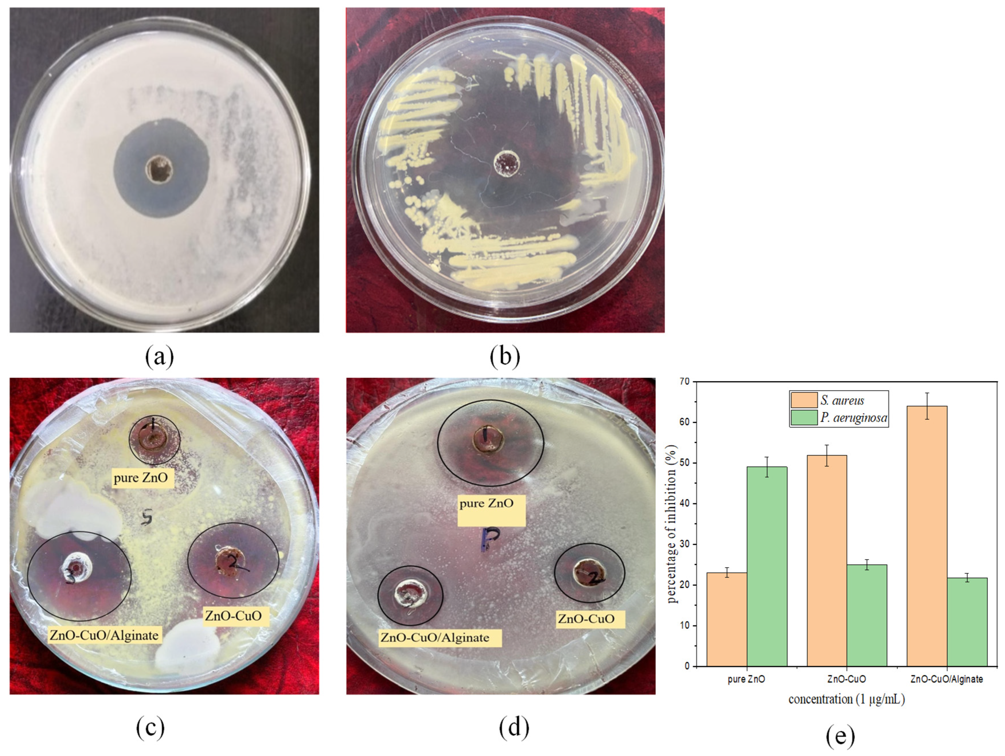 Catalysts 15 01107 g008