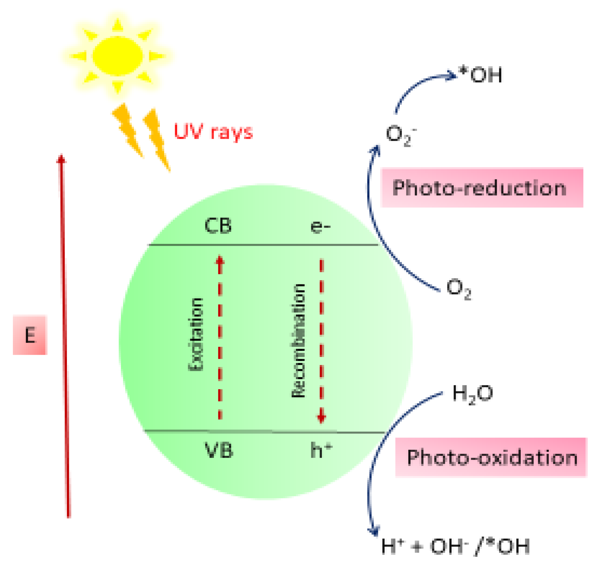 Catalysts 15 01107 sch001