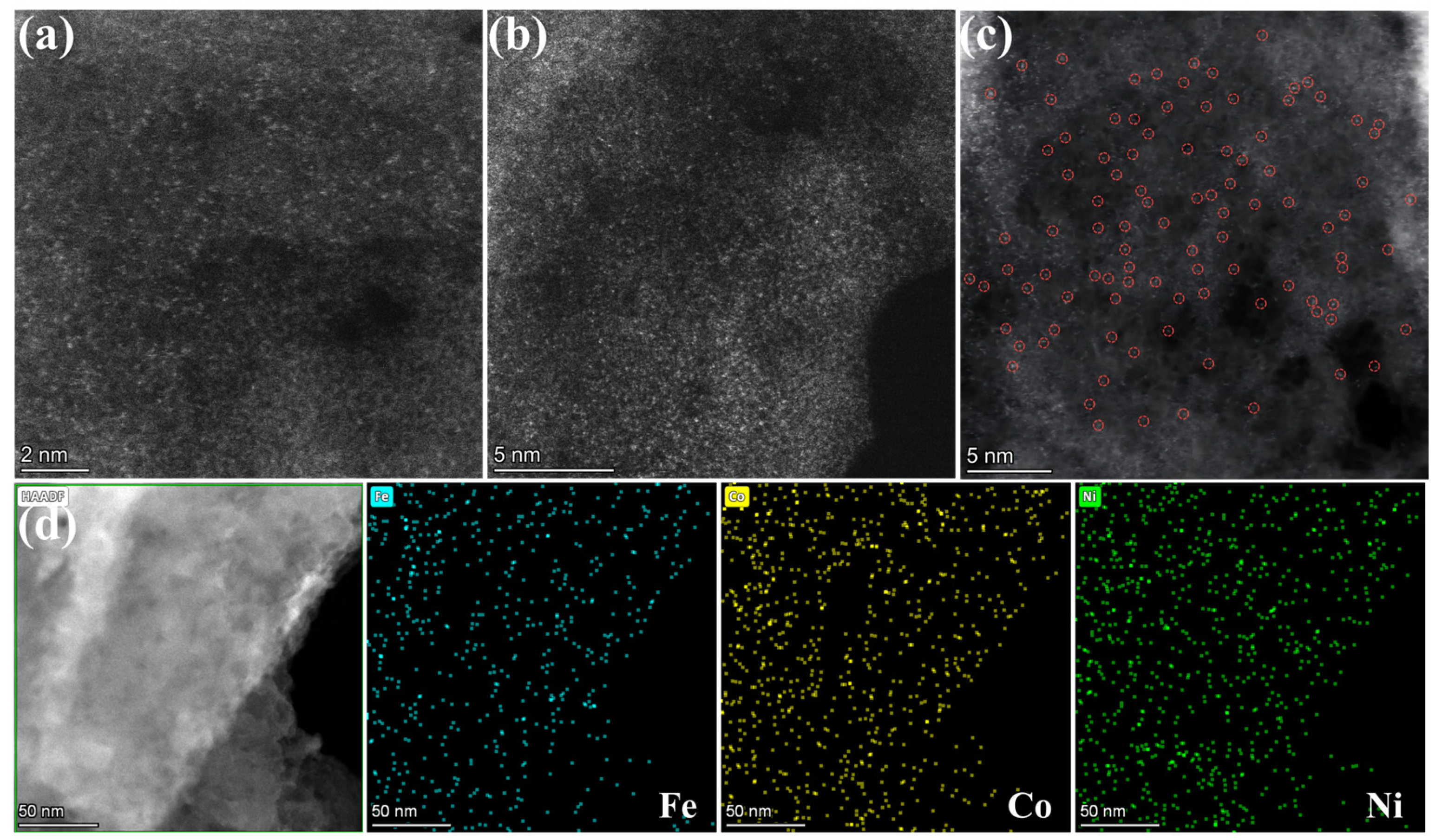 Catalysts 15 01108 g005