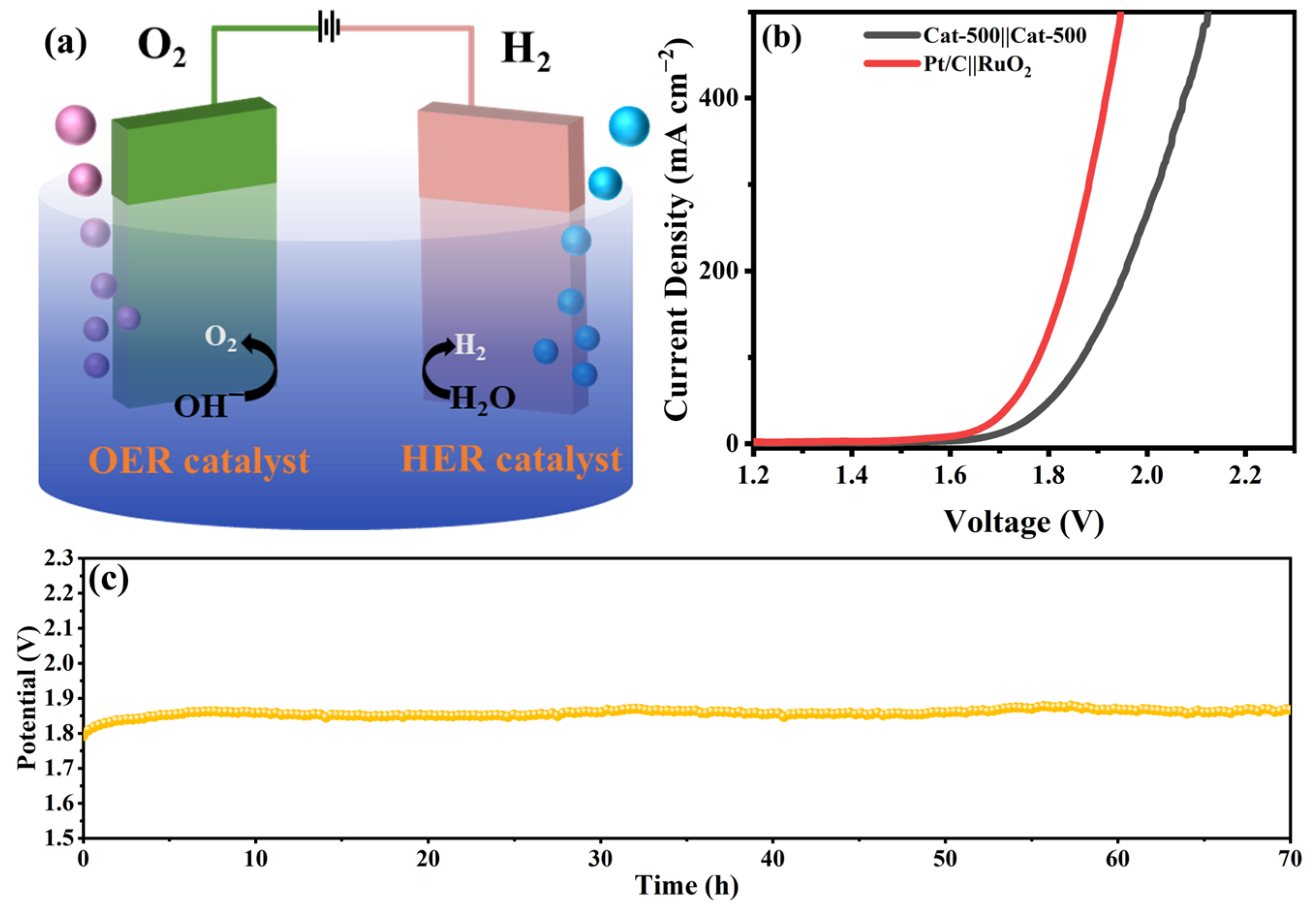Catalysts 15 01108 g011