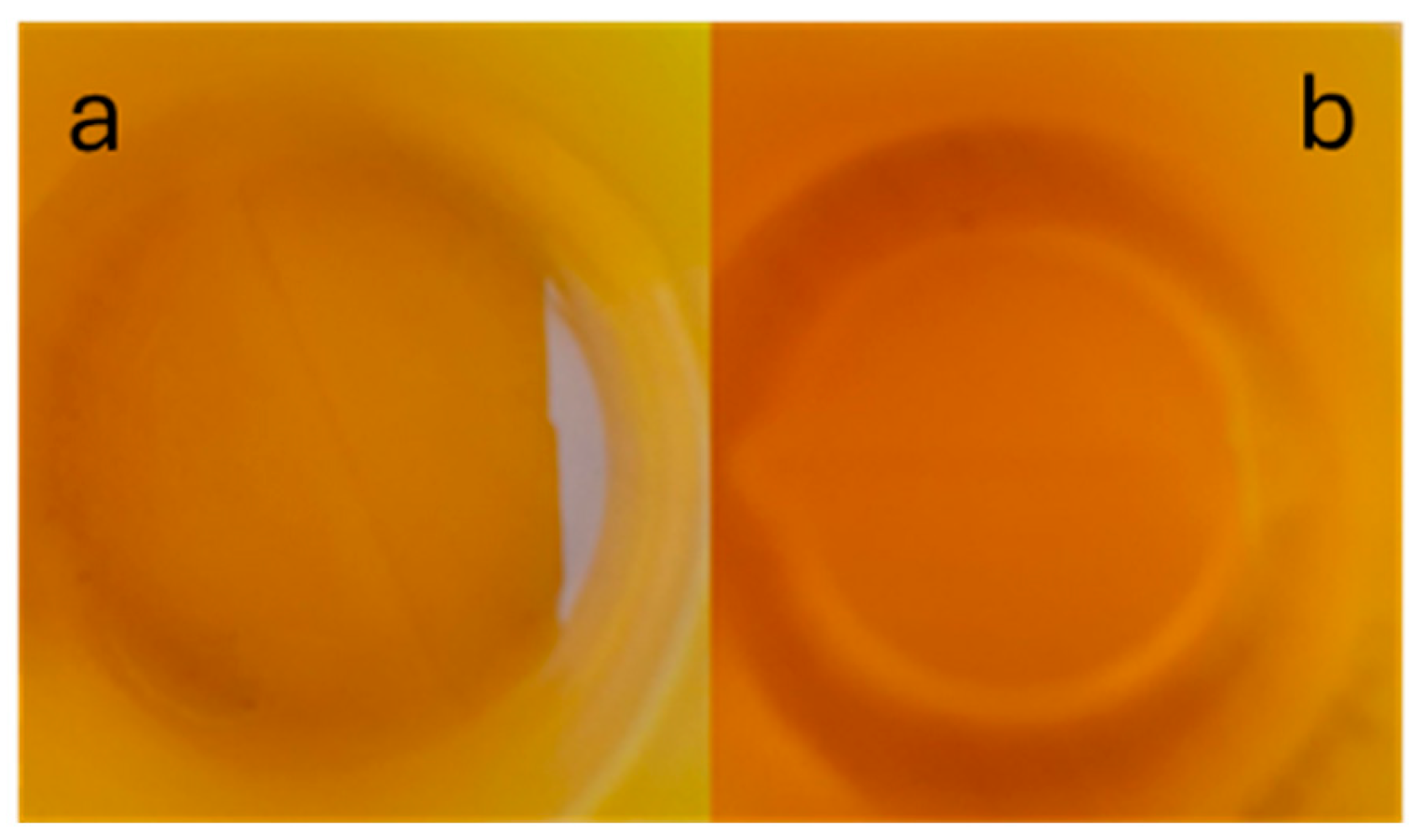 Catalysts 15 01110 g008