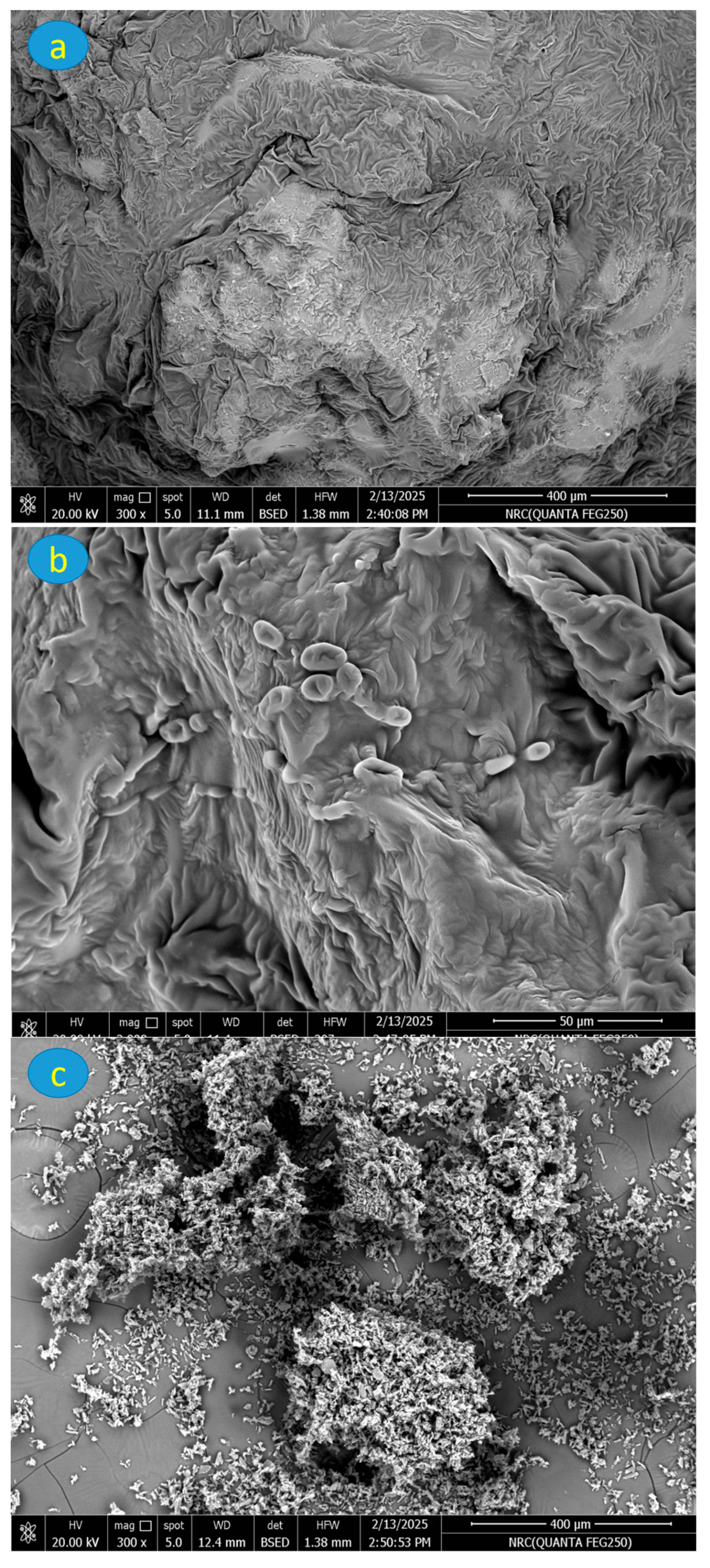 Catalysts 15 01113 g002a Catalysts 15 01113 g002a