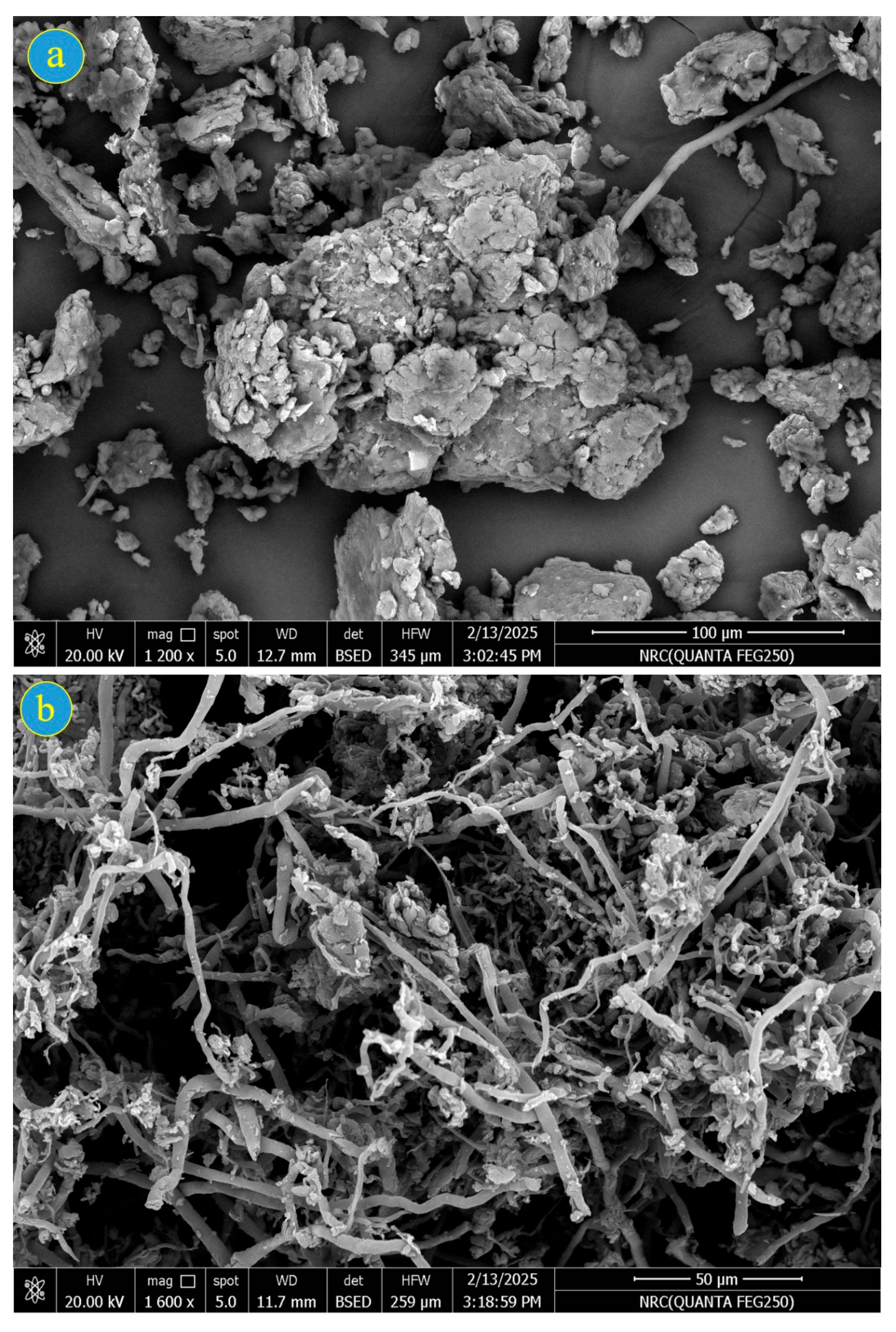 Catalysts 15 01113 g004a Catalysts 15 01113 g004a