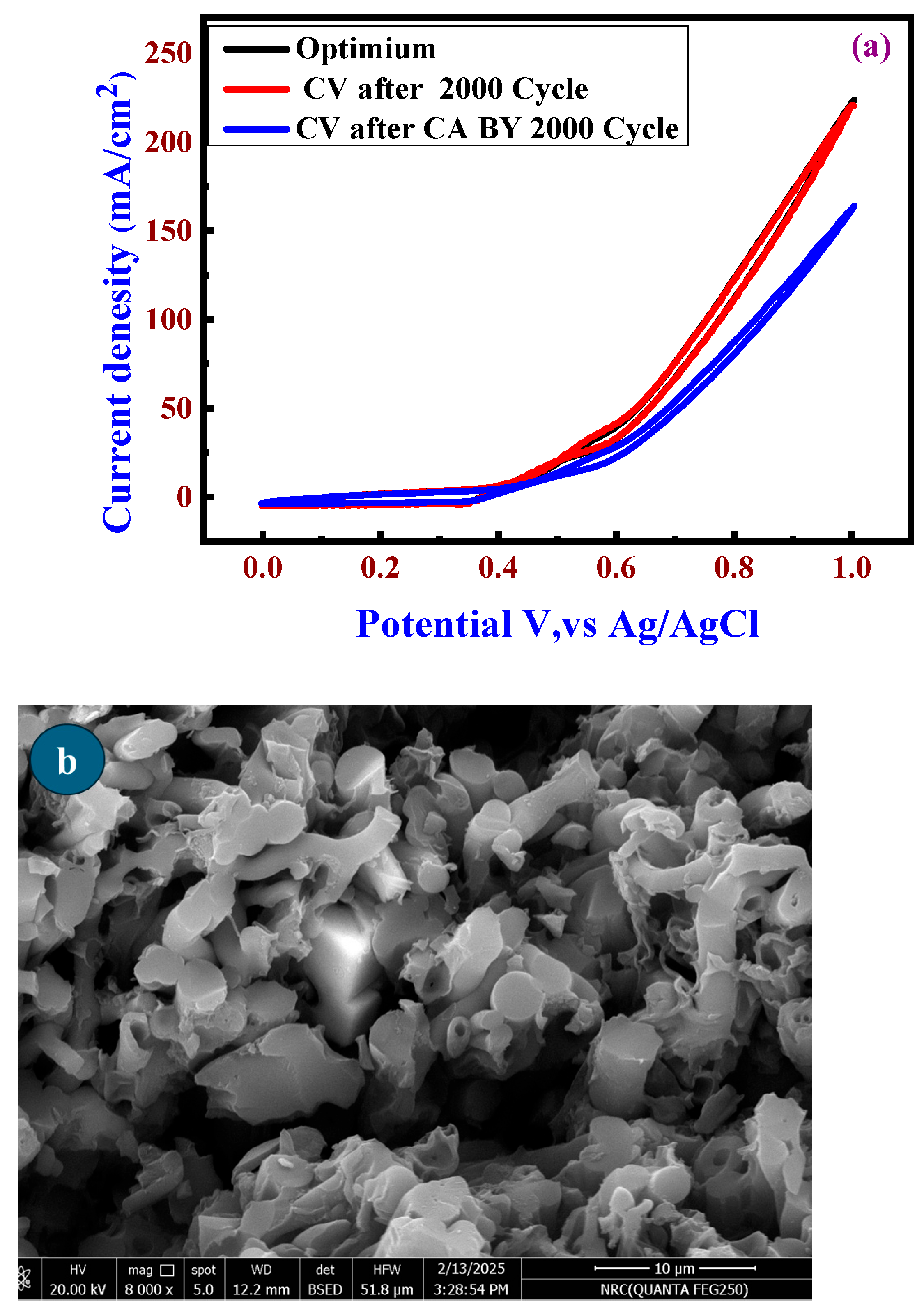 Catalysts 15 01113 g011 Catalysts 15 01113 g011